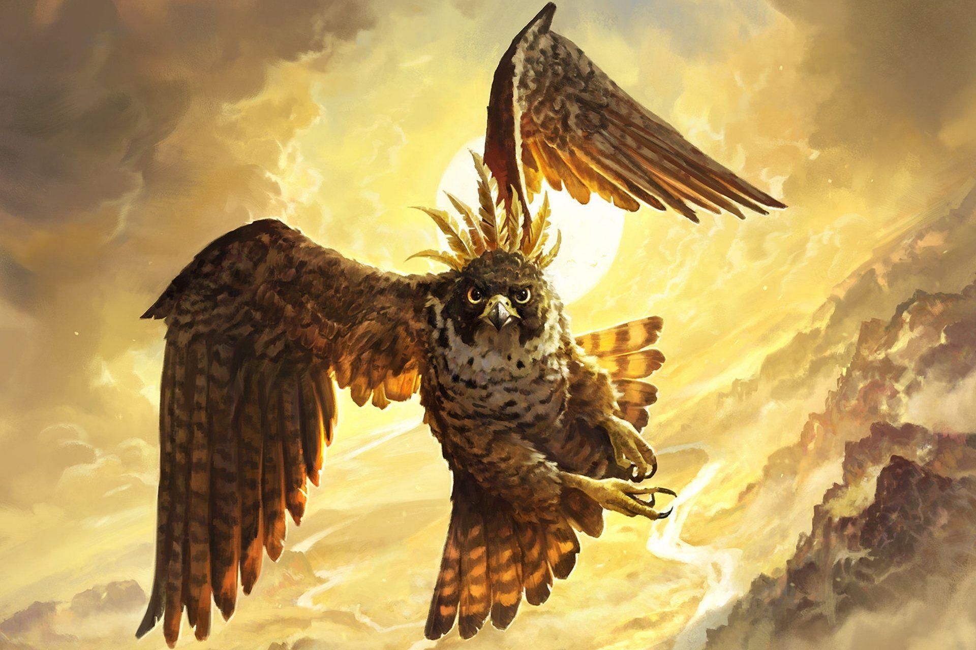 1920x1280 Flying Falcon Wallpaper