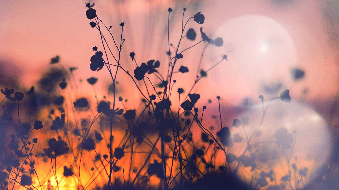 1366x768 Aesthetic Wallpaper Sunset Laptop .