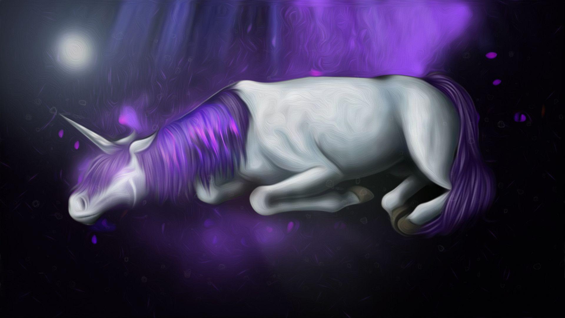 1920x1080 Interesting Trials Fusion Unicorn Cat .