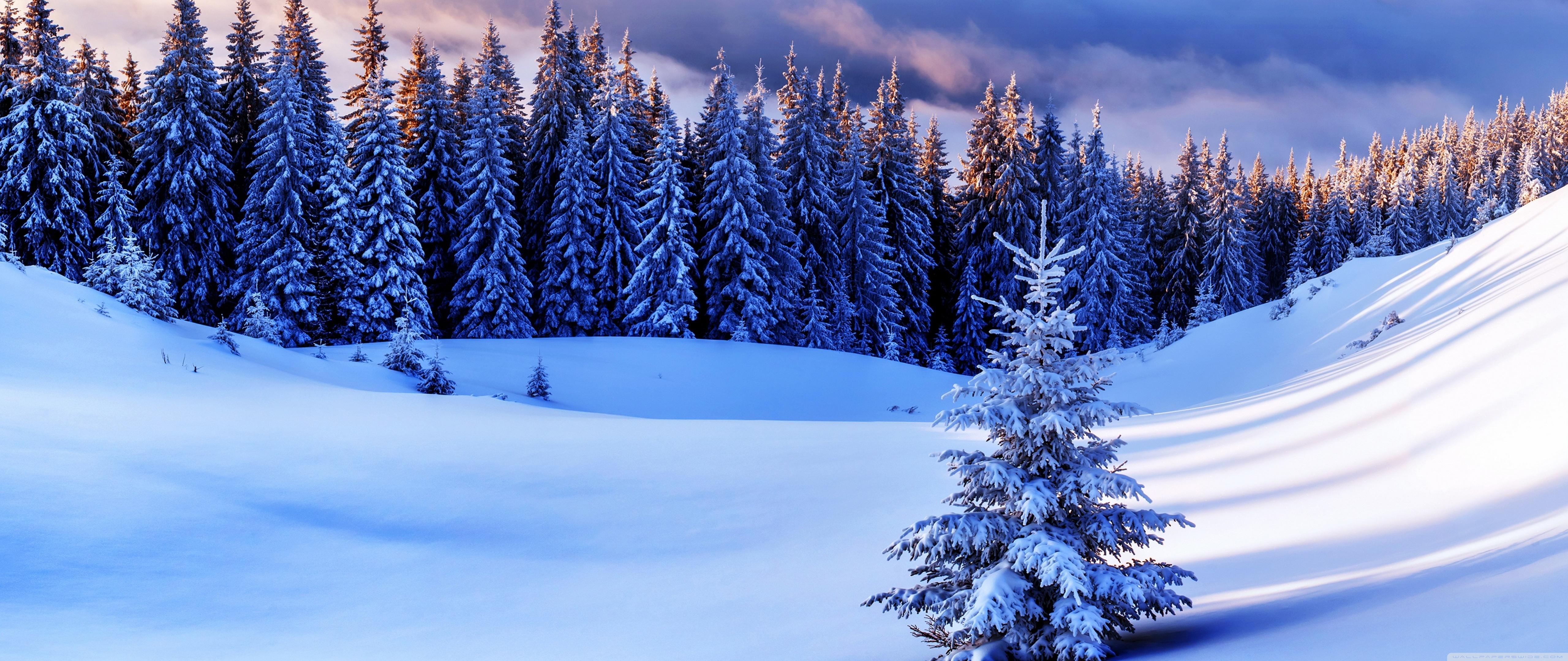 5120x2160 Extra Wide Winter Wallpaper .