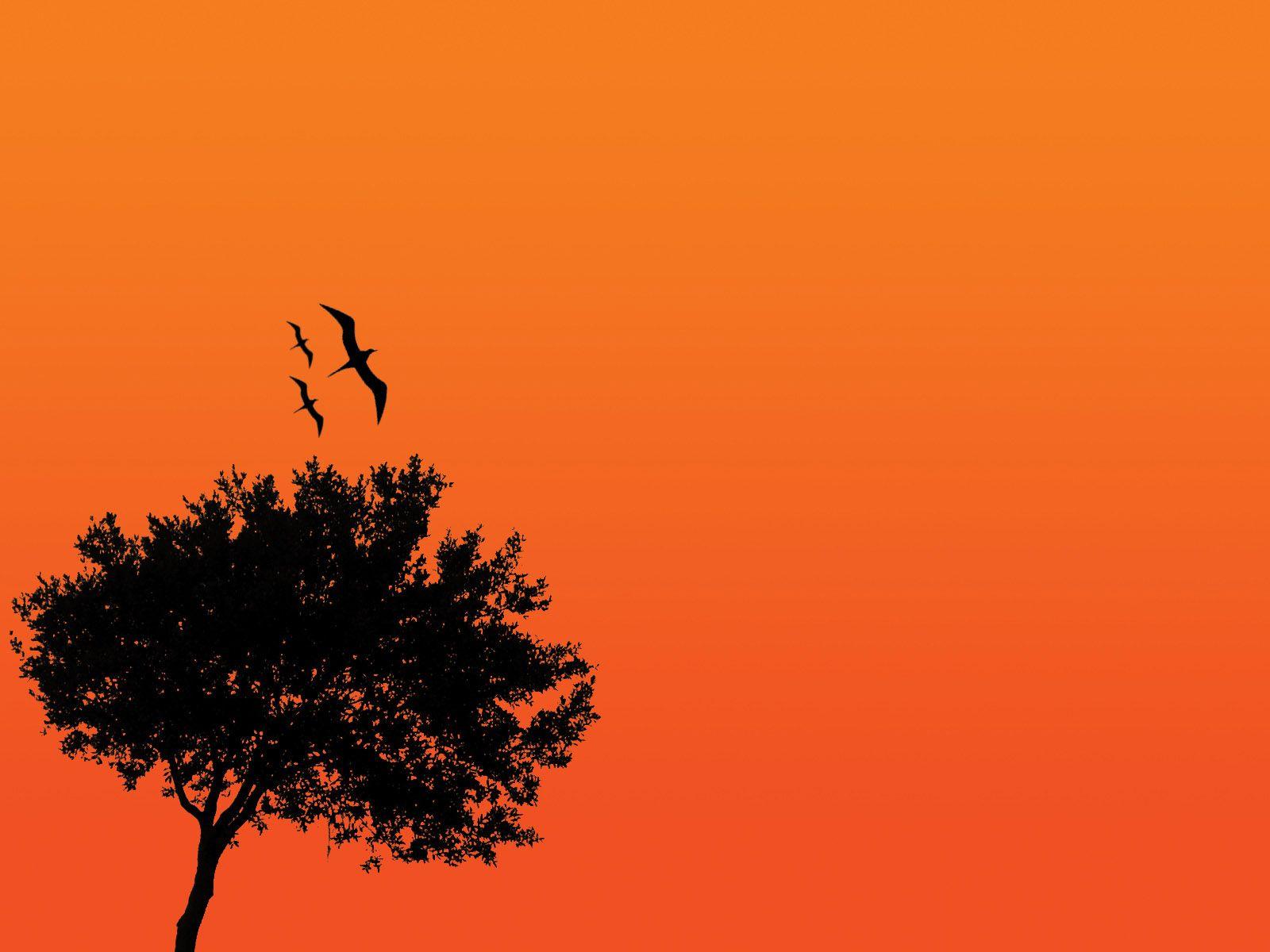 1600x1200 Background Wallpaper HD