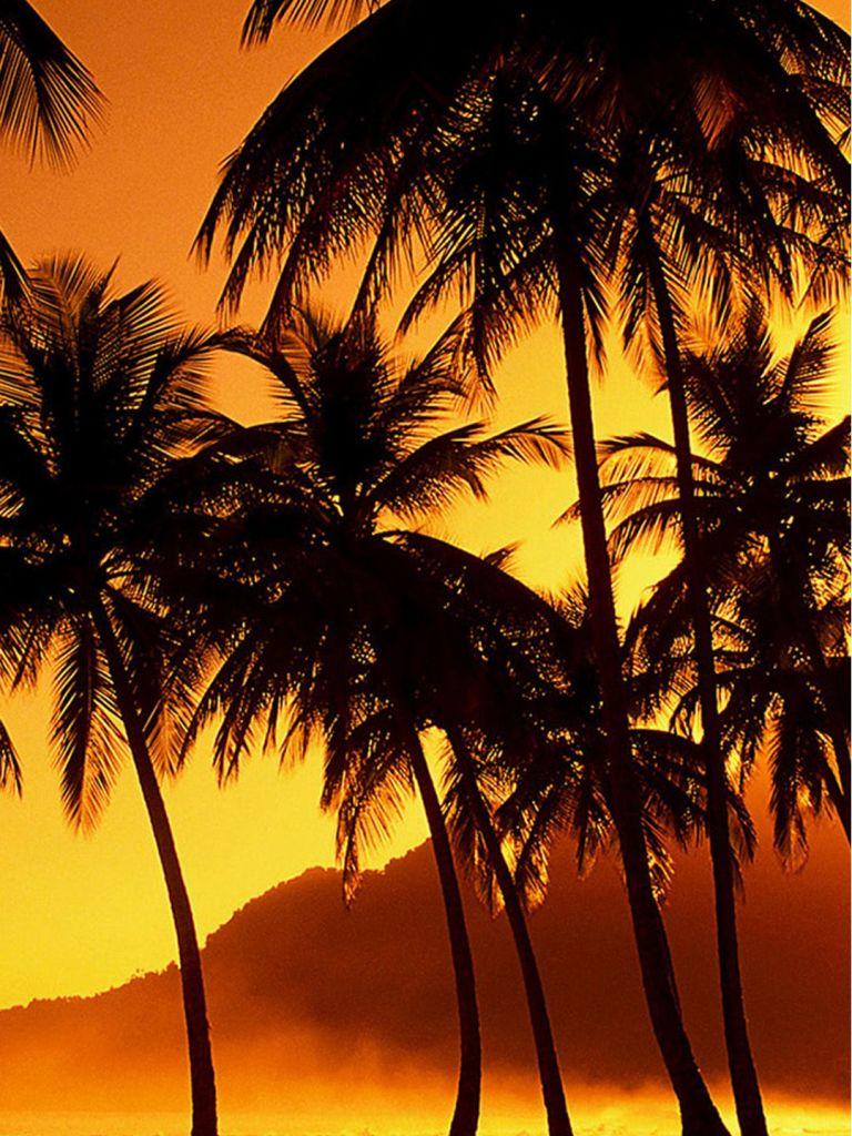 768x1024 Waikiki Hawaii iPhone Wallpaper .