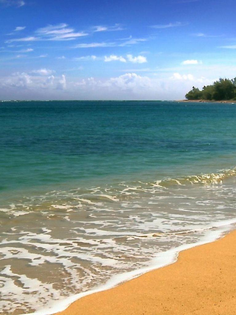 768x1024 Hawaii Five Cities Beach Beach .