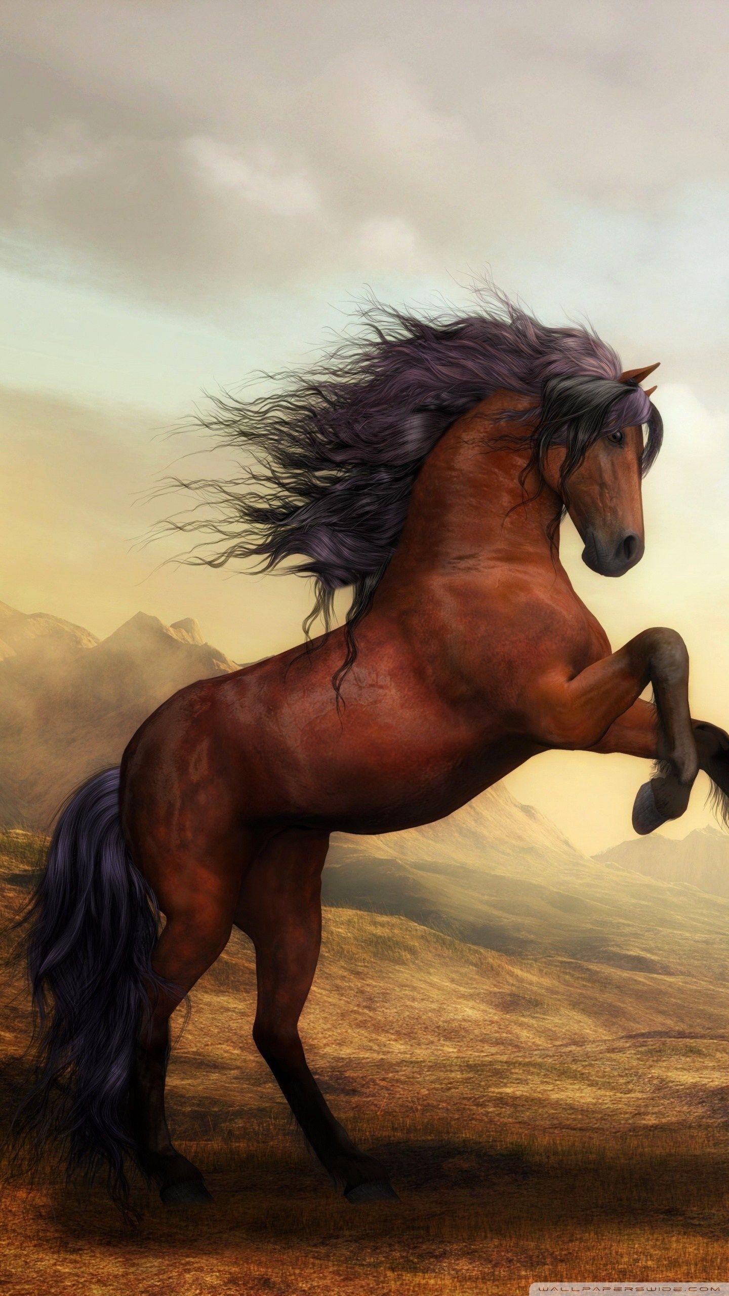 1440x2560 Beautiful Horse Phone Wallpaper Wallpaper HD For Mobile Wallpaper & Background Download