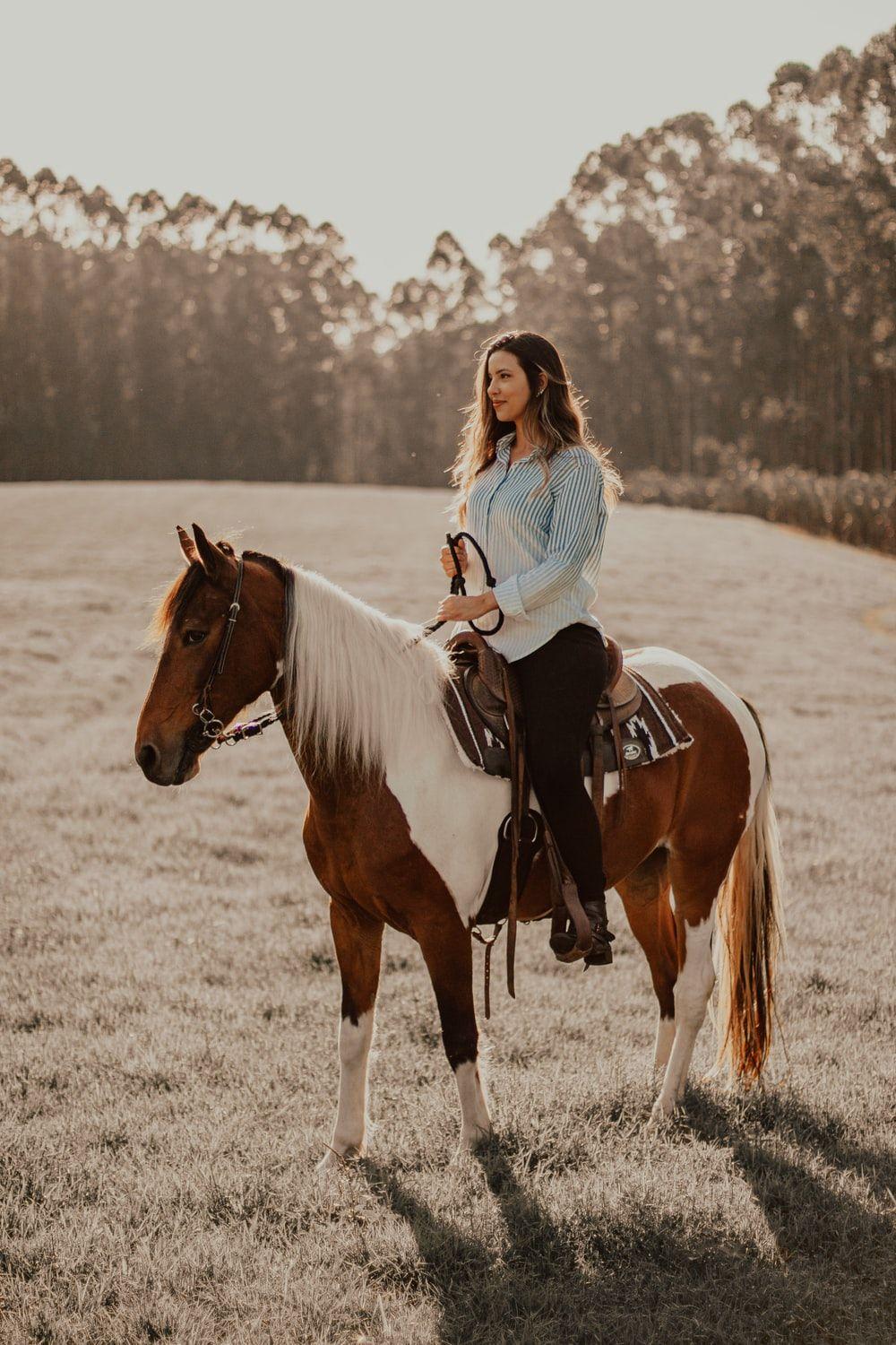 1000x1500 Horse Wallpaper: Free HD Download .com