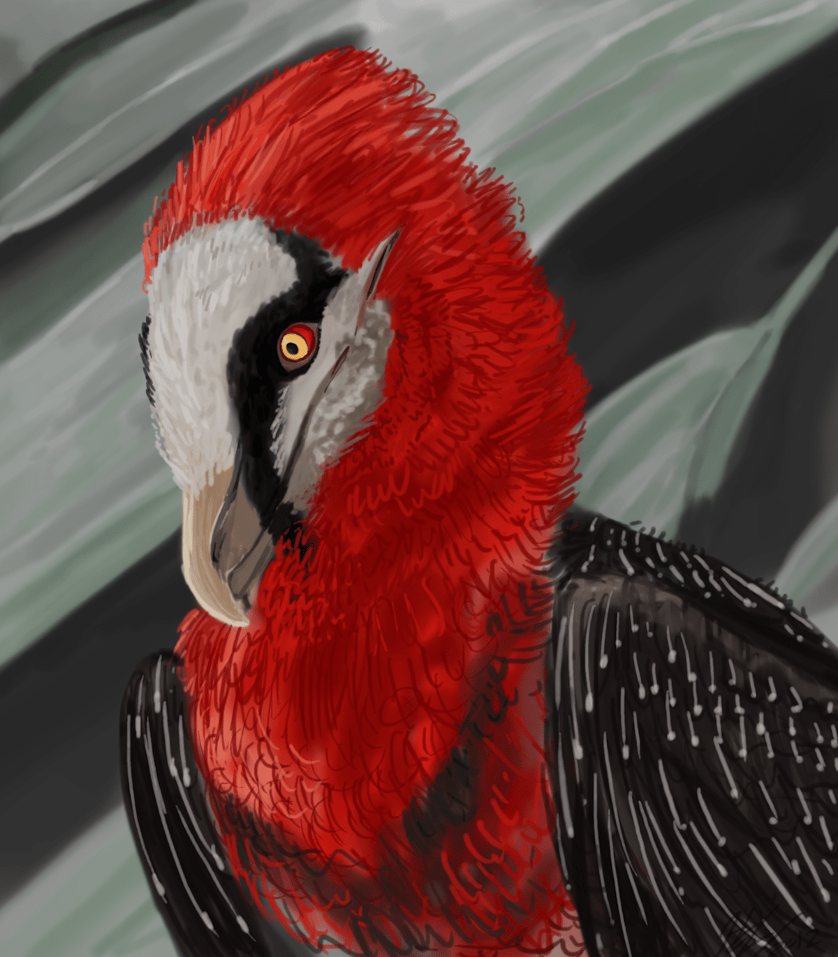 1200x1369 Bearded Vulture Wallpaper on .