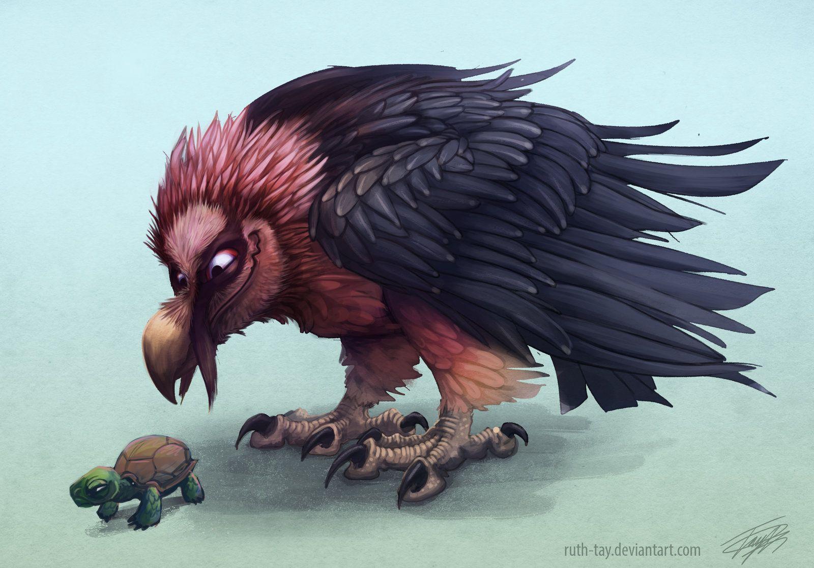 1600x1118 Bearded Vulture Wallpaper on .