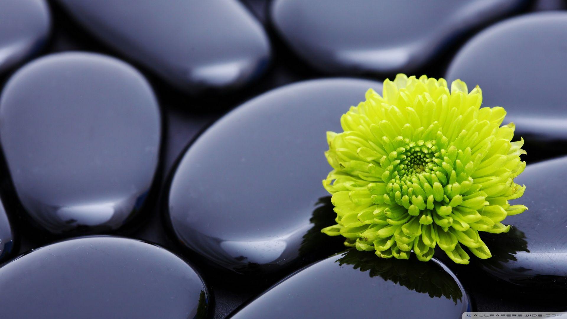 1920x1080 Free download Black Zen Stones And A Yellow Mum Wallpaper 1920x1080 Black Zen [1920x1080] for your Desktop, Mobile & Tablet. Explore Zen Garden Wallpaper Desktop. Zen Garden Wallpaper, Japanese