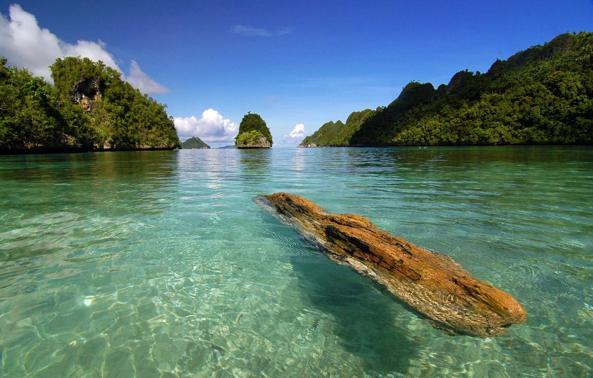 1170x745 Raja Ampat Islands Wallpaper