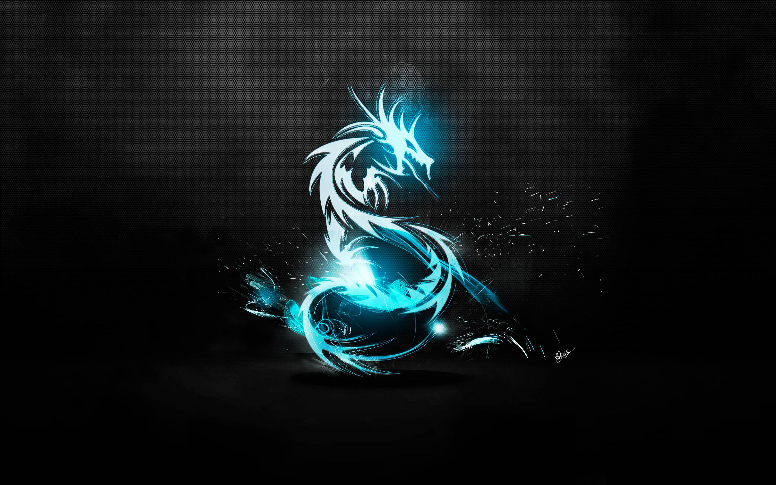 2560x1600 Anime Dragon
