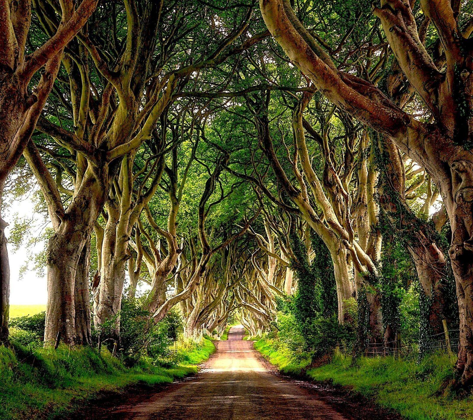 1600x1422 landscape ireland wallpaper. Nature .