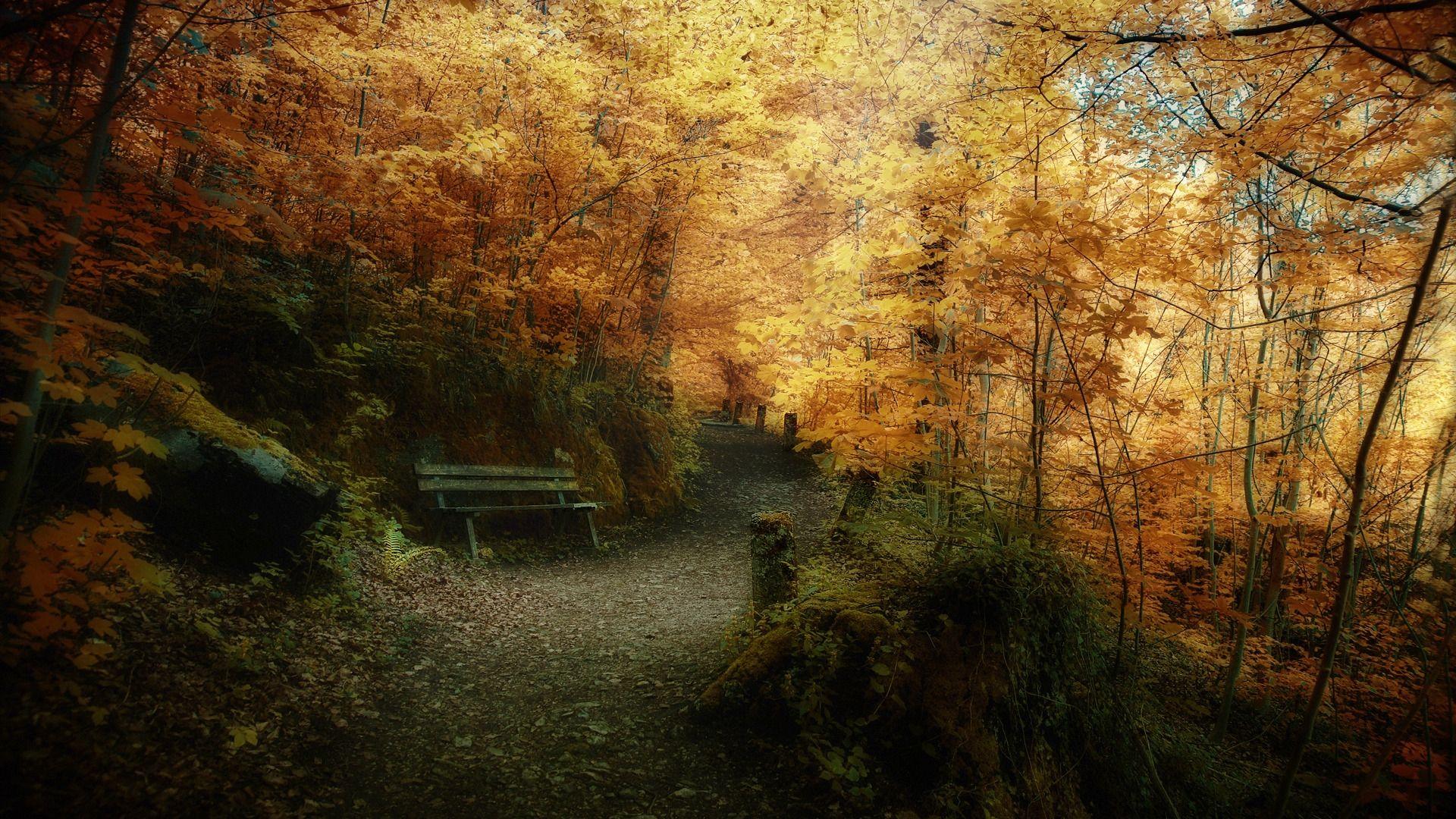 1920x1080 Free download Autumn Wallpaper HD .
