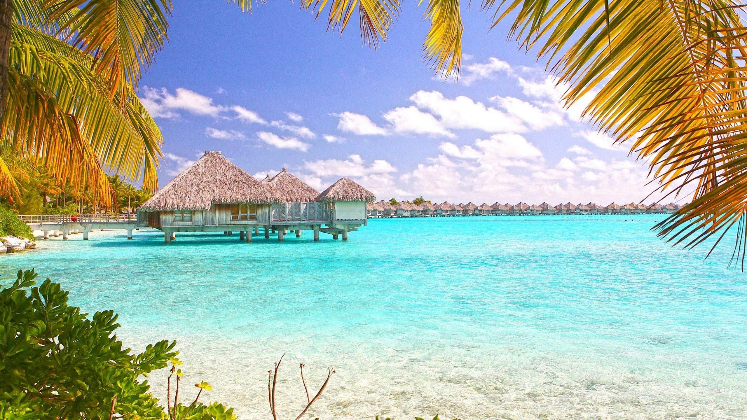 2560x1440 Relaxing Wallpaper Bora Tropical .