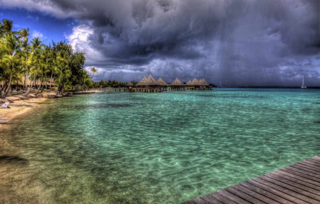 1332x850 Wallpaper sea, beach, landscape, palm .