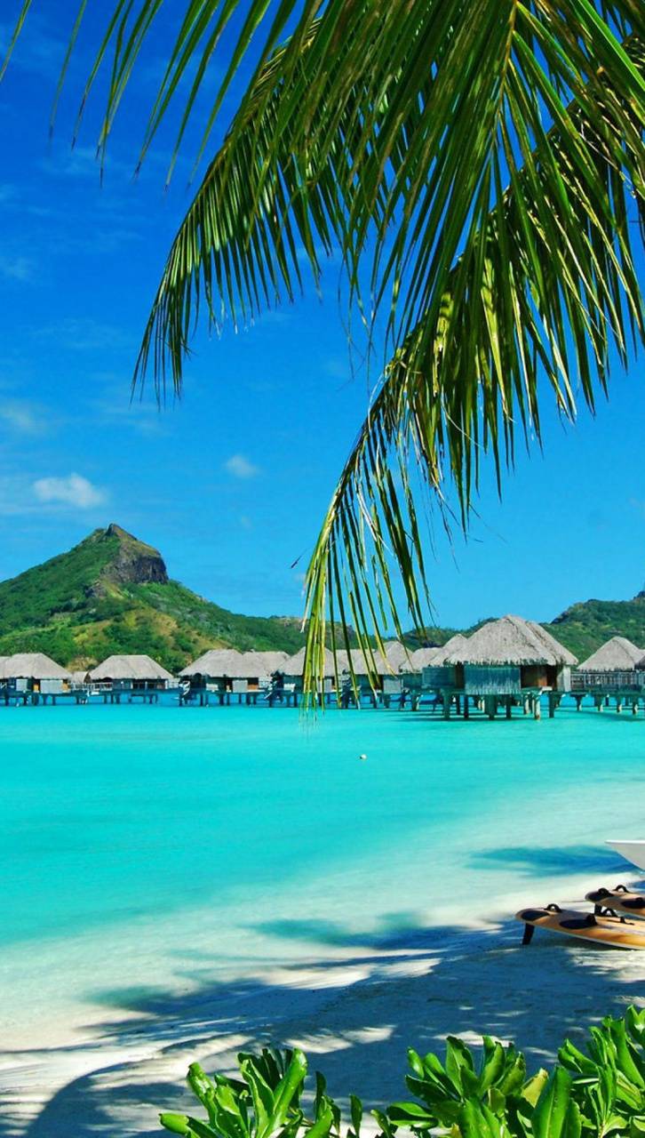 726x1280 Bora Bora wallpaper by IndigoLaEnd .