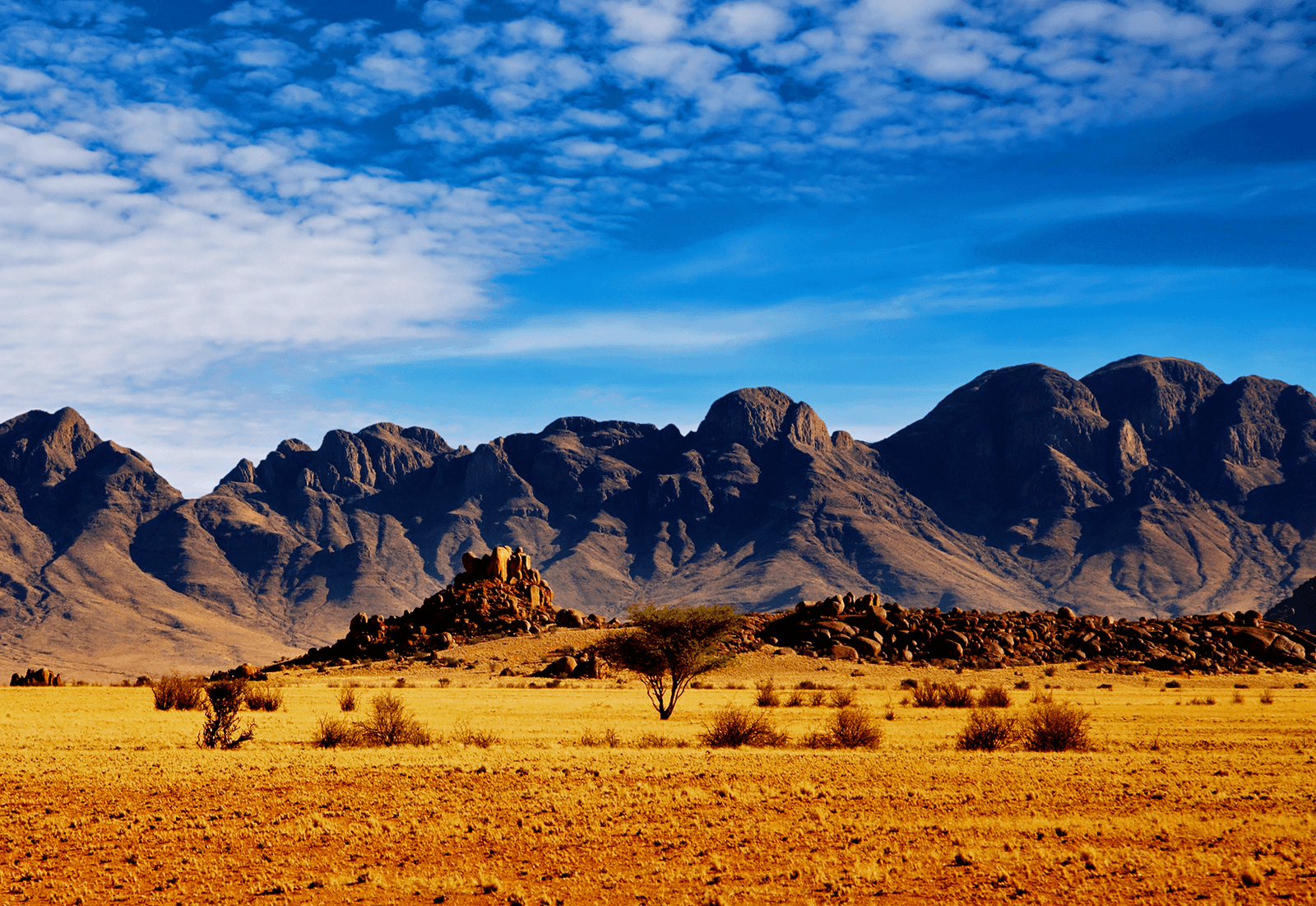 1600x1101 Free Western Wallpaper