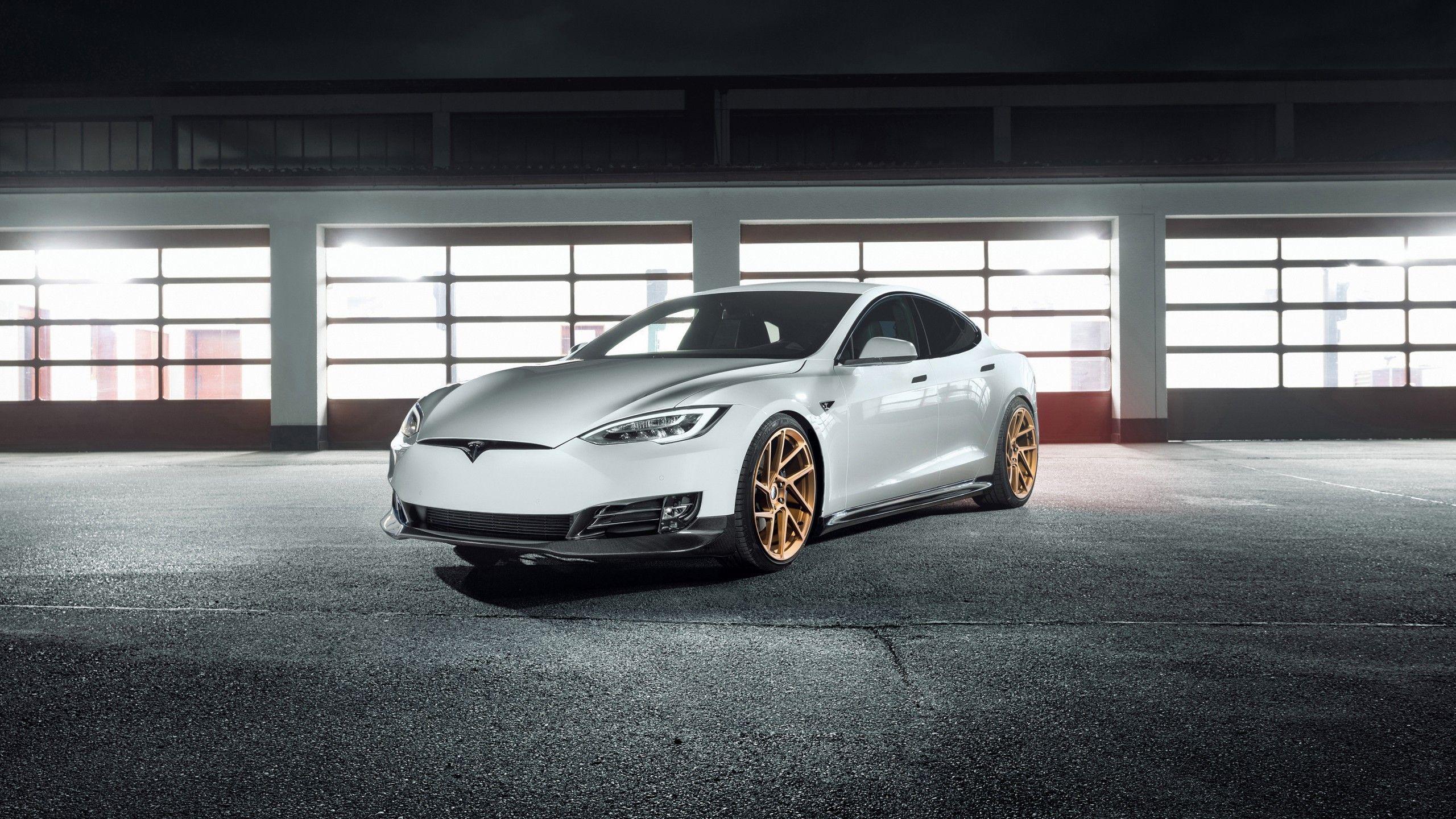 2560x1440 Novitec Tesla Model S 4K 4 .