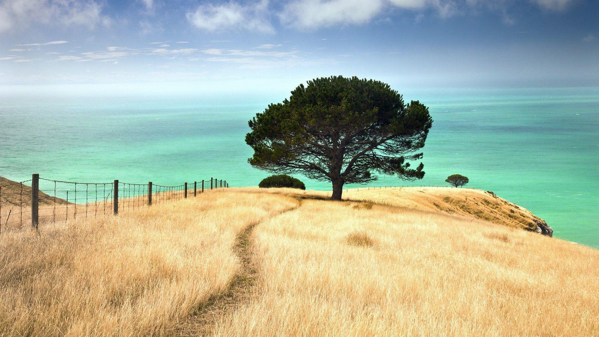 1920x1080 New Zealand Desktop Wallpaper .line.