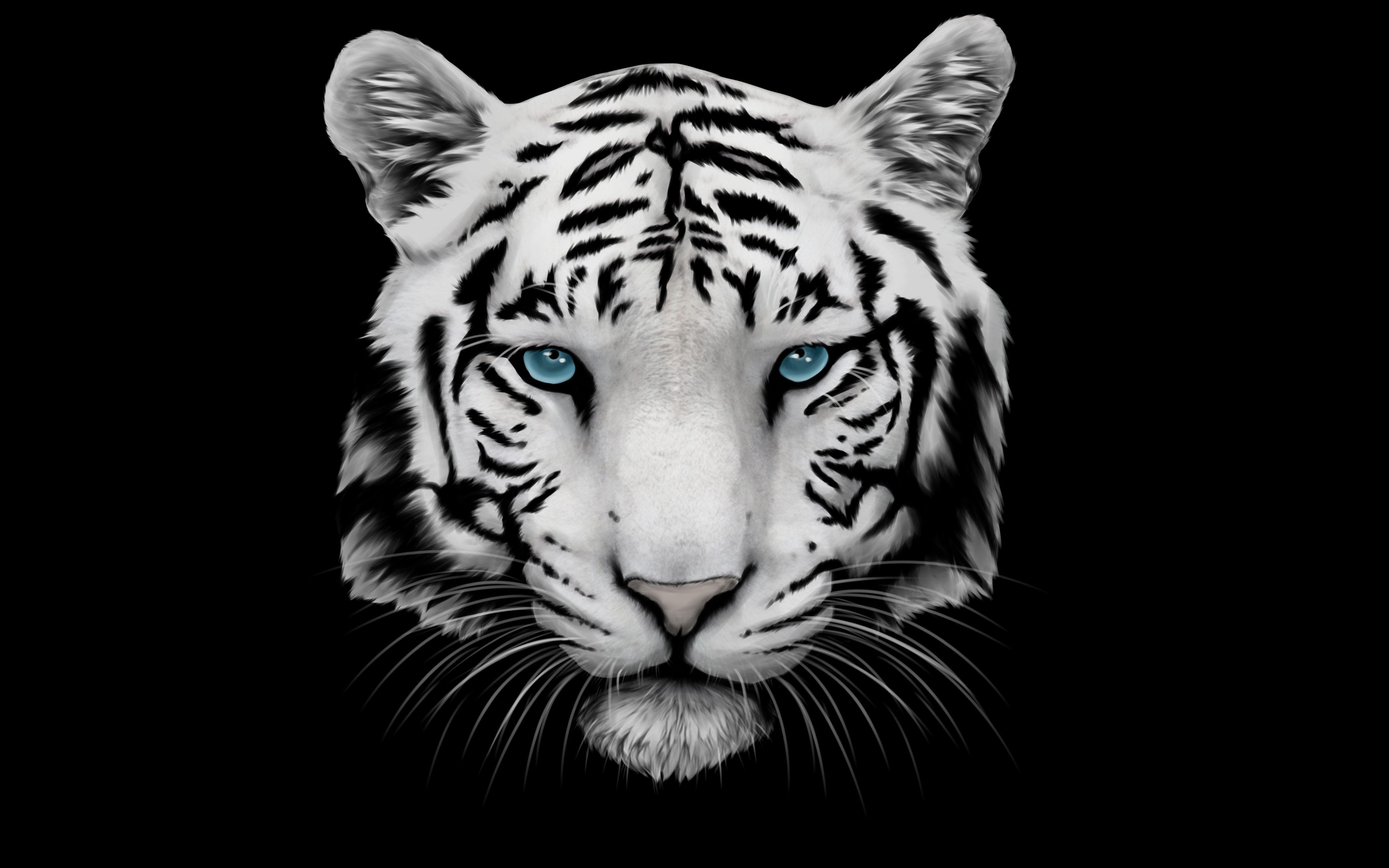 4800x3000 iPhone 7 Black And White Tiger