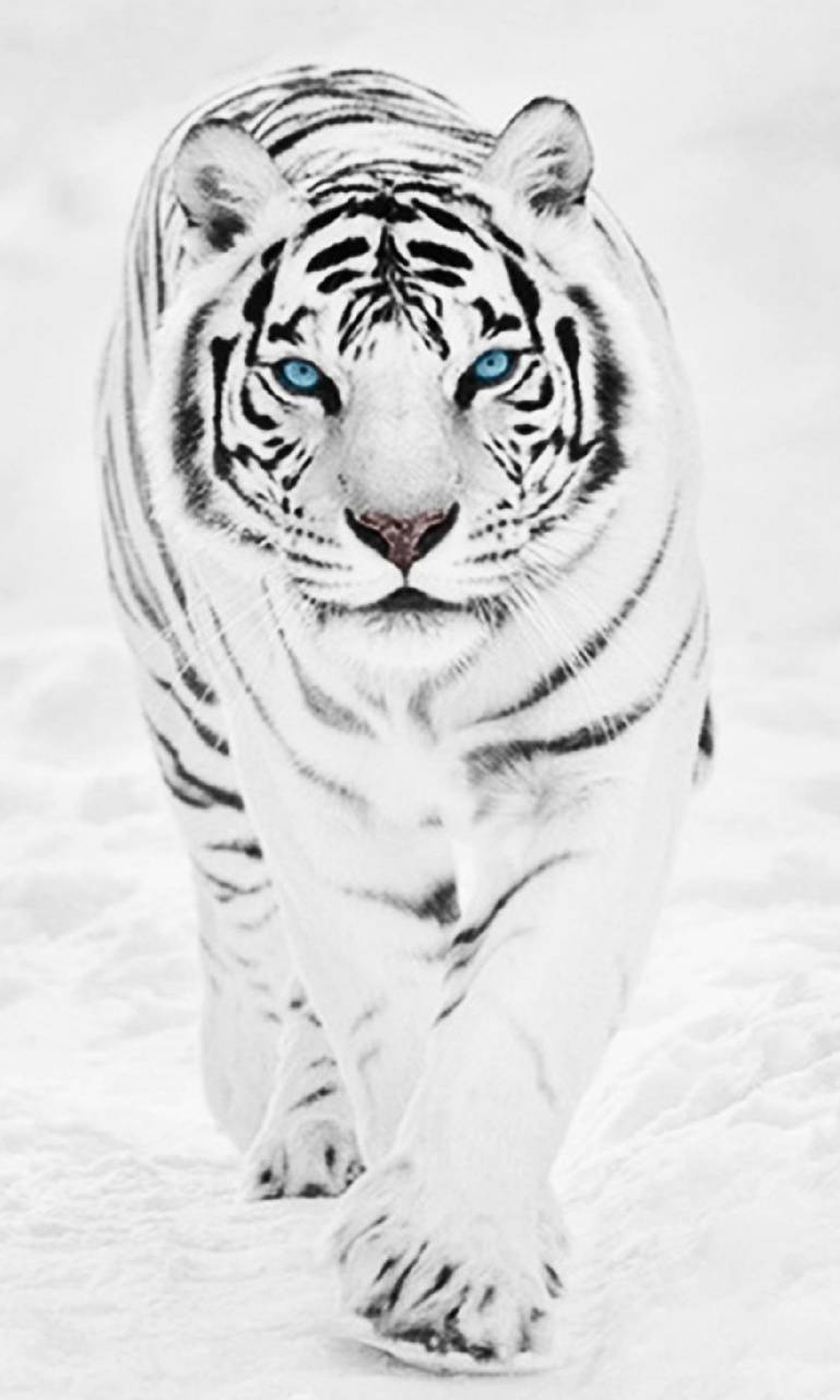 769x1280 Get Inspired For Full HD 1080p White .mobileewall.