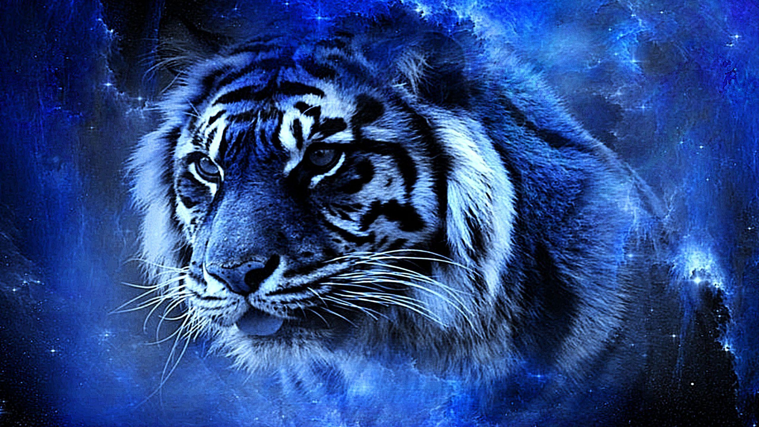 2560x1440 White Tiger
