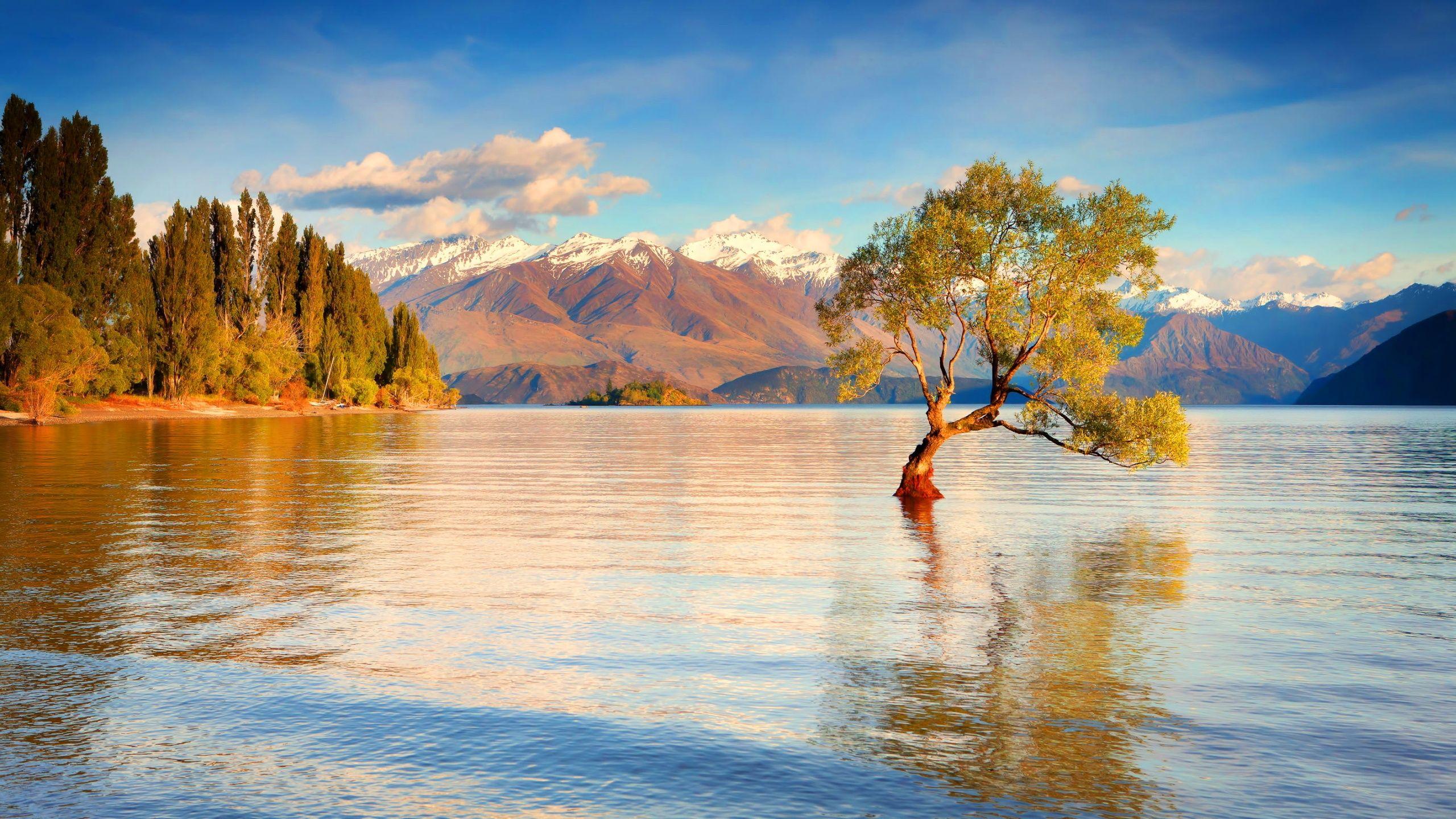 2560x1440 Full HD New Zealand