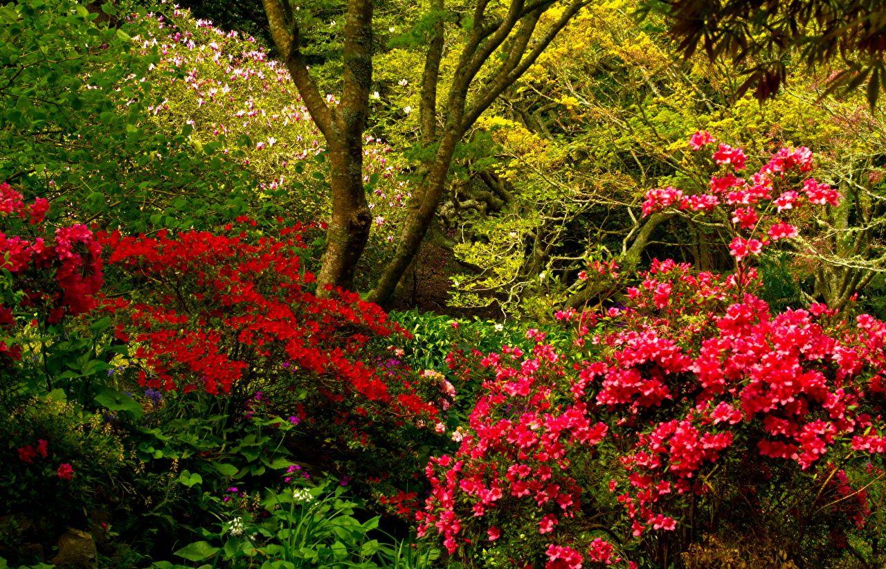 1280x822 Wallpaper New Zealand Wellington .