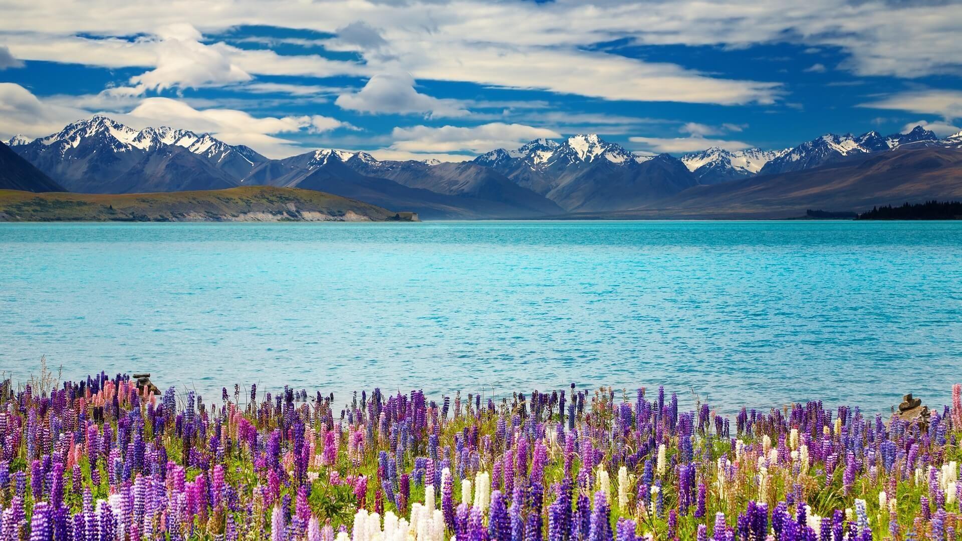 1920x1080 New Zealand