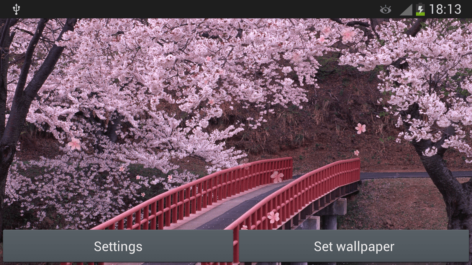 1600x900 Sakura Wallpaper 7