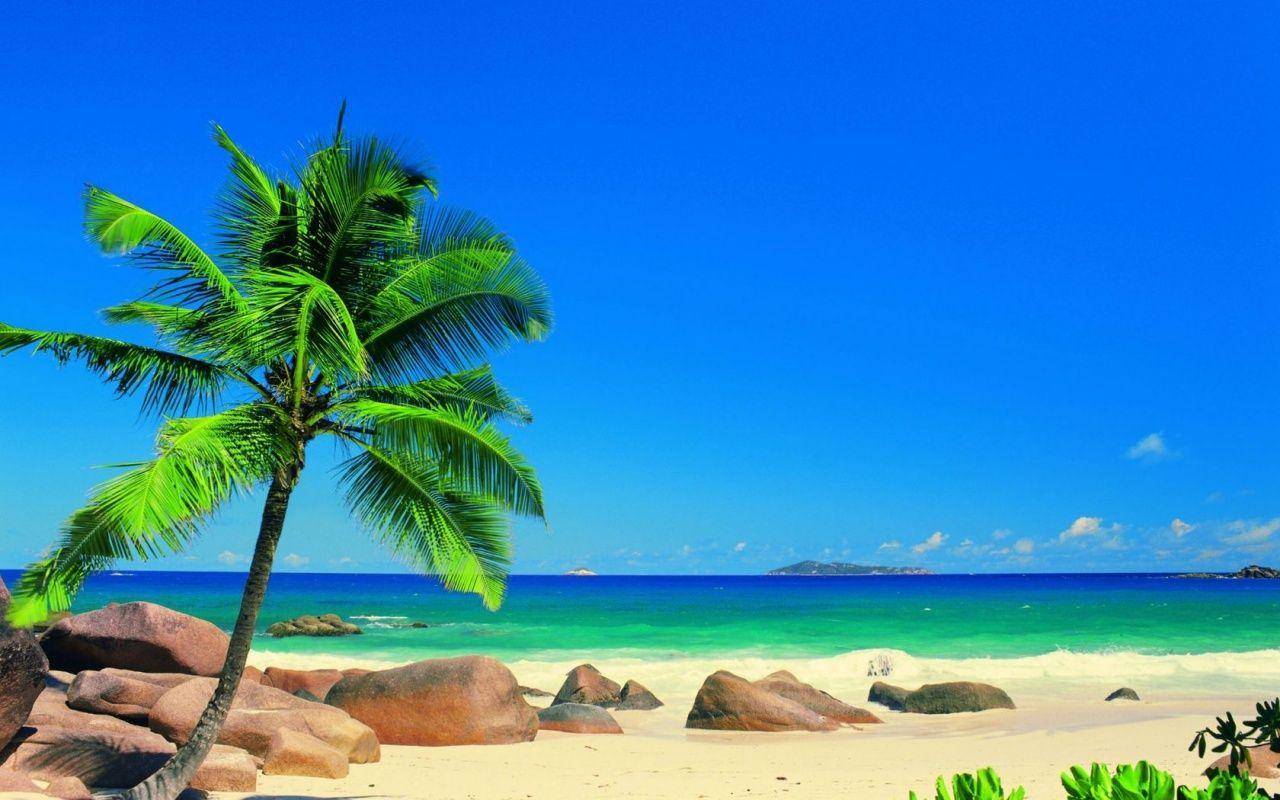 1280x800 Seychellen Beach With Palm Trees .