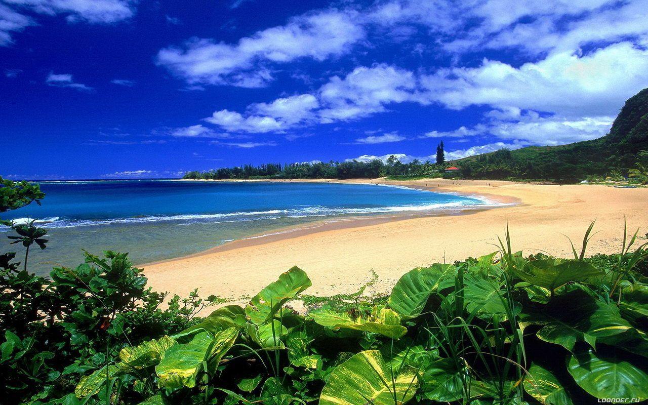1280x800 Sunset Hawaii Beach Wallpaper .