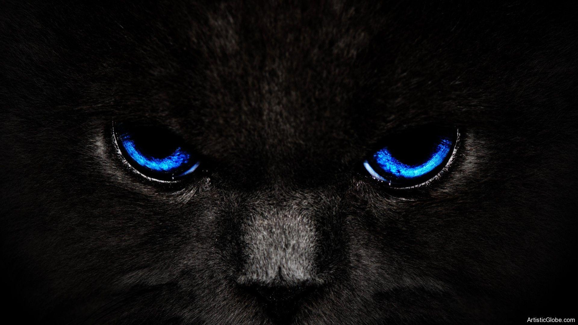 Black Panther Animal  Scary Look Wallpaper Download  MobCup