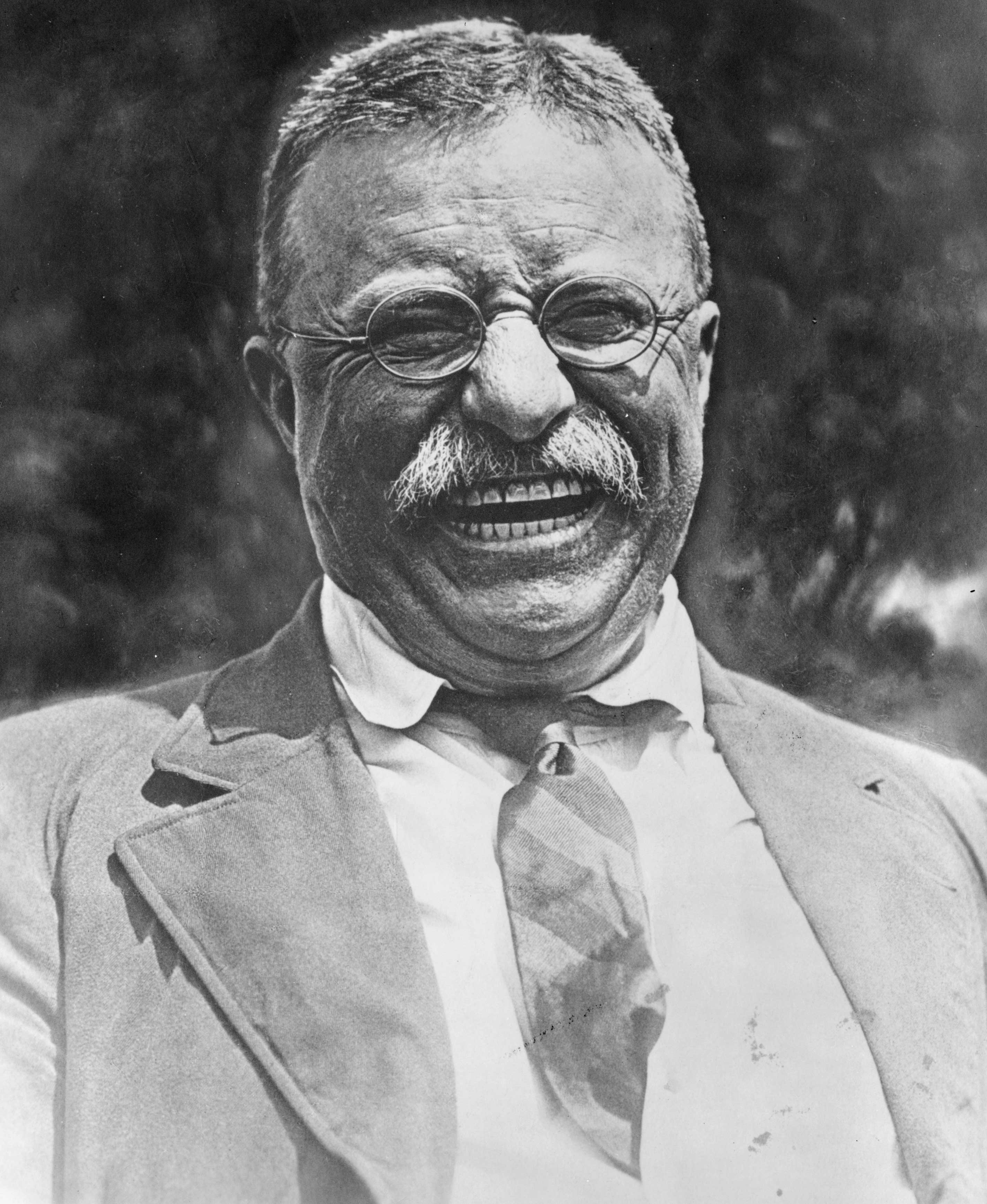 2849x3474 Wallpaper for Theodore Roosevelt : Resolution 2849x3474px