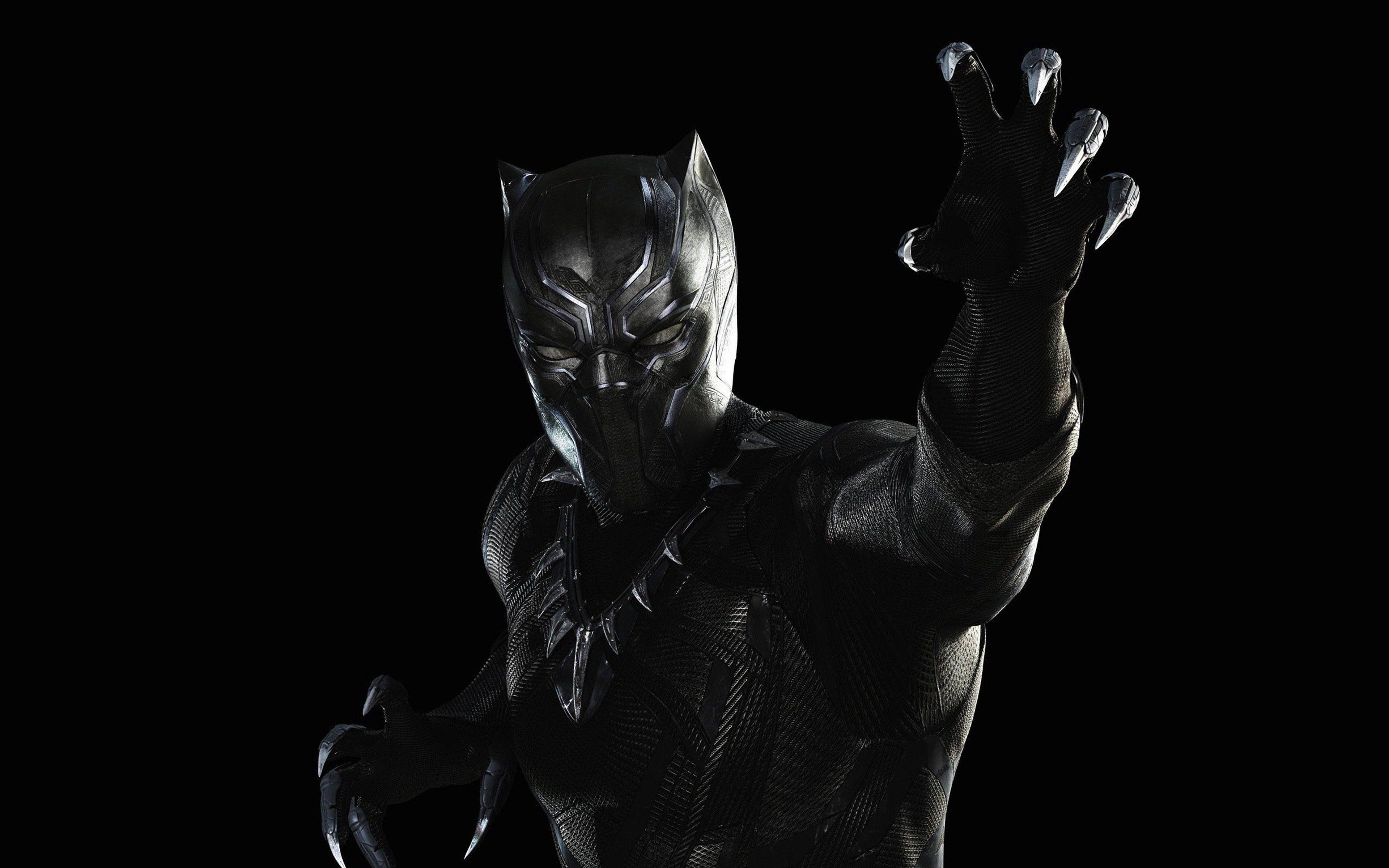 White And Black Panther Wallpapers Top Free White And Black