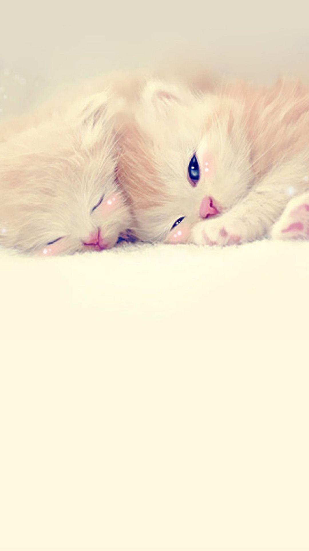 1080x1920 Cute Animals iPhone Wallpaper You Would Love to Download