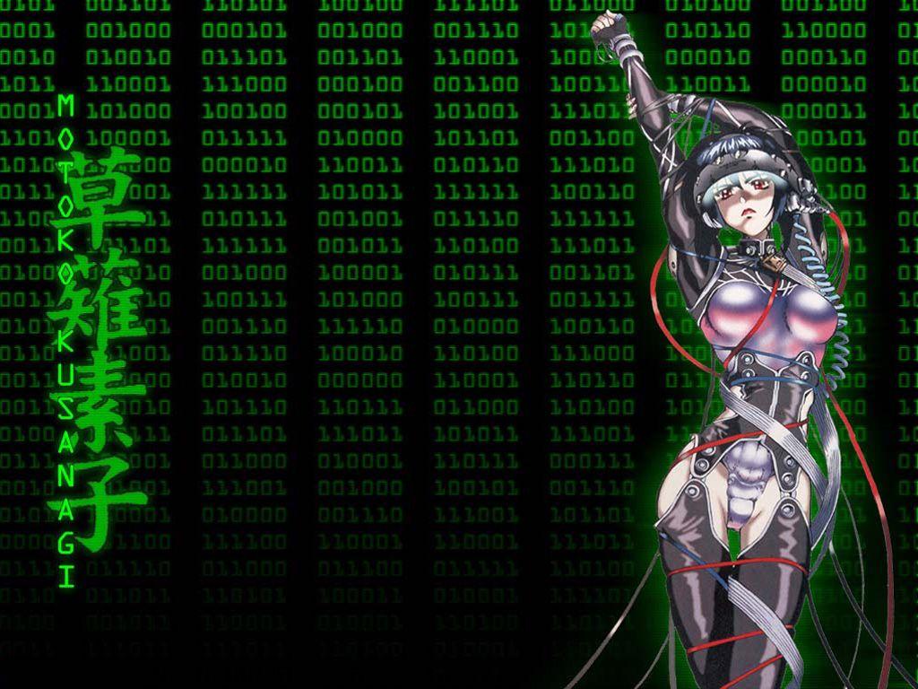 1024x768 Ghost in the Shell image The major HD wallpaper and background