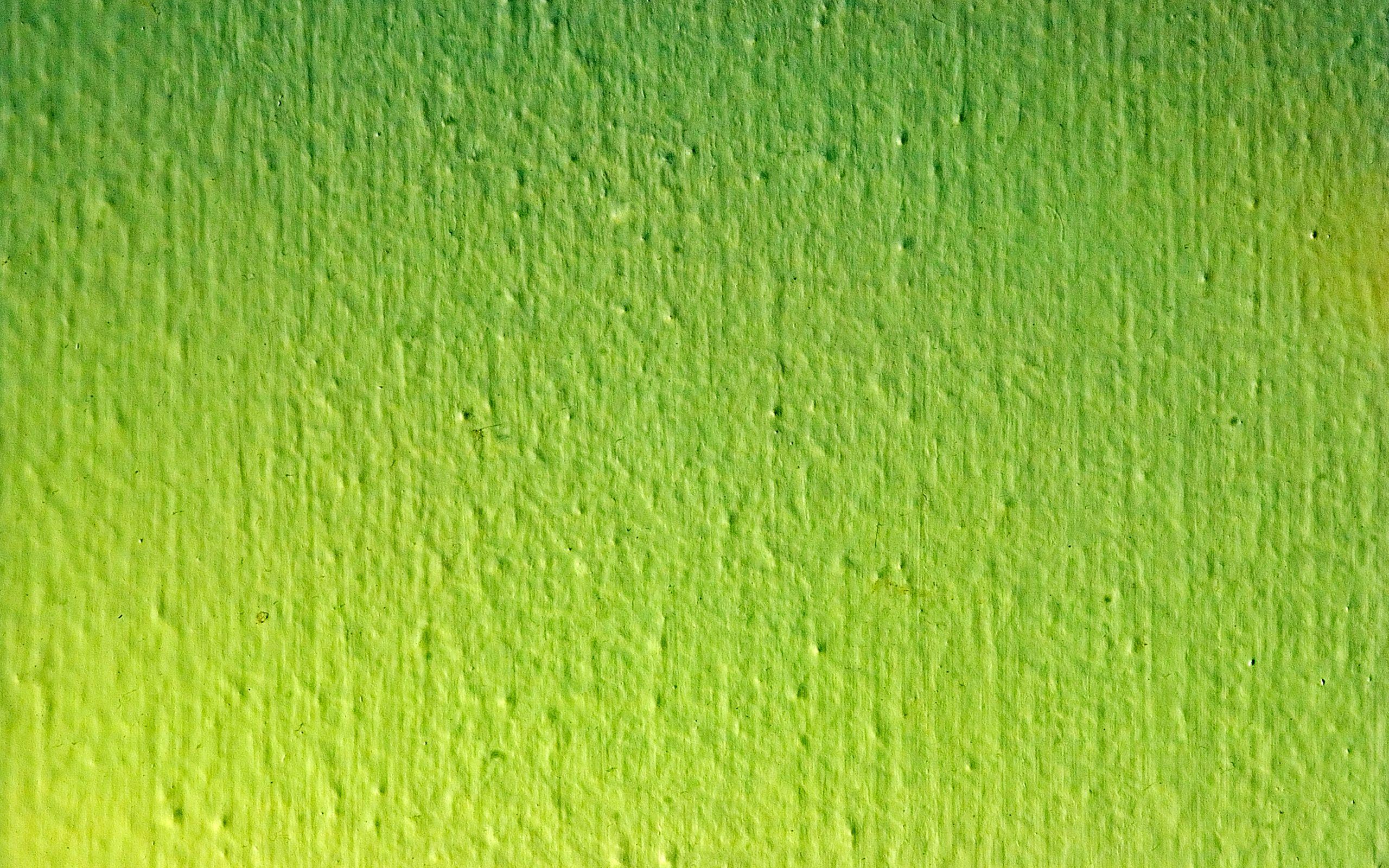 2560x1600 Free Download 44 HD Green Wallpaper for Windows and Mac Systems