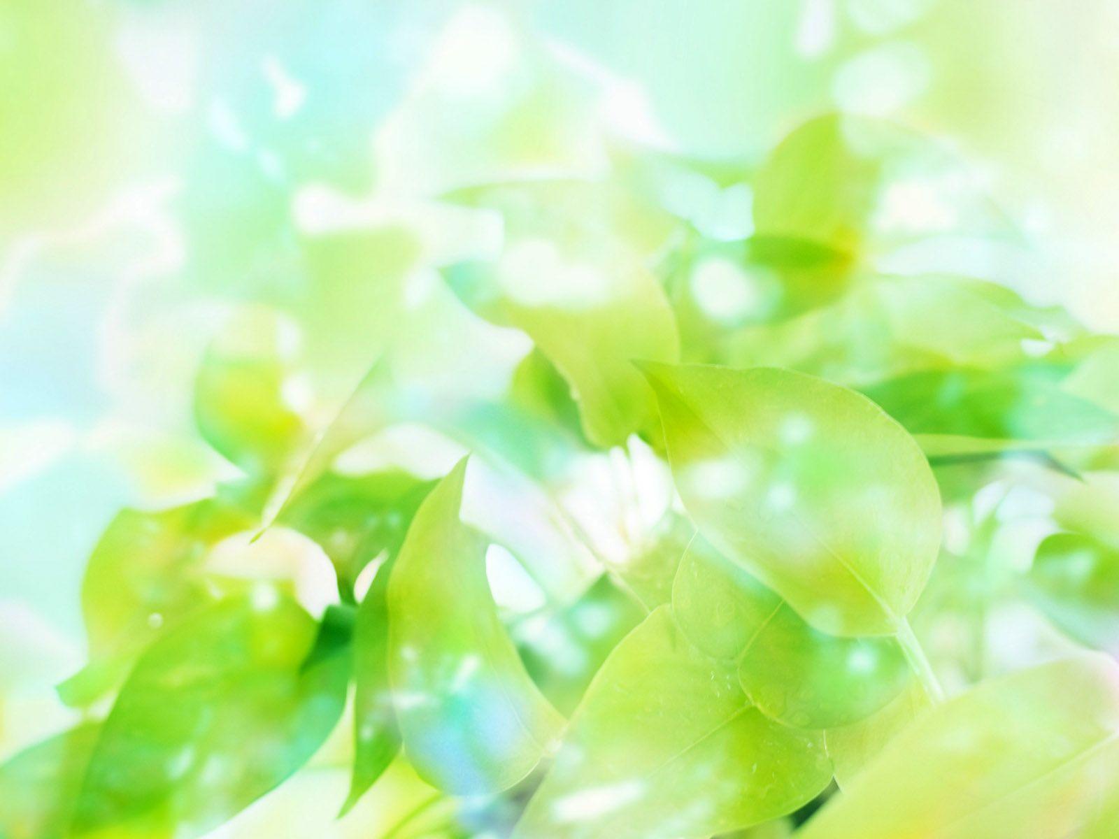 1600x1200 Green Wallpaper Color .