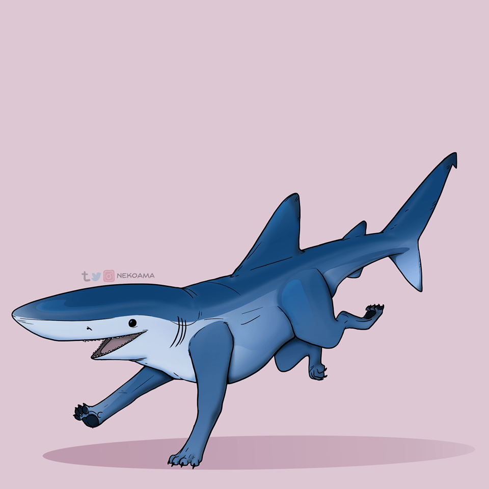 960x960 Cute Shark