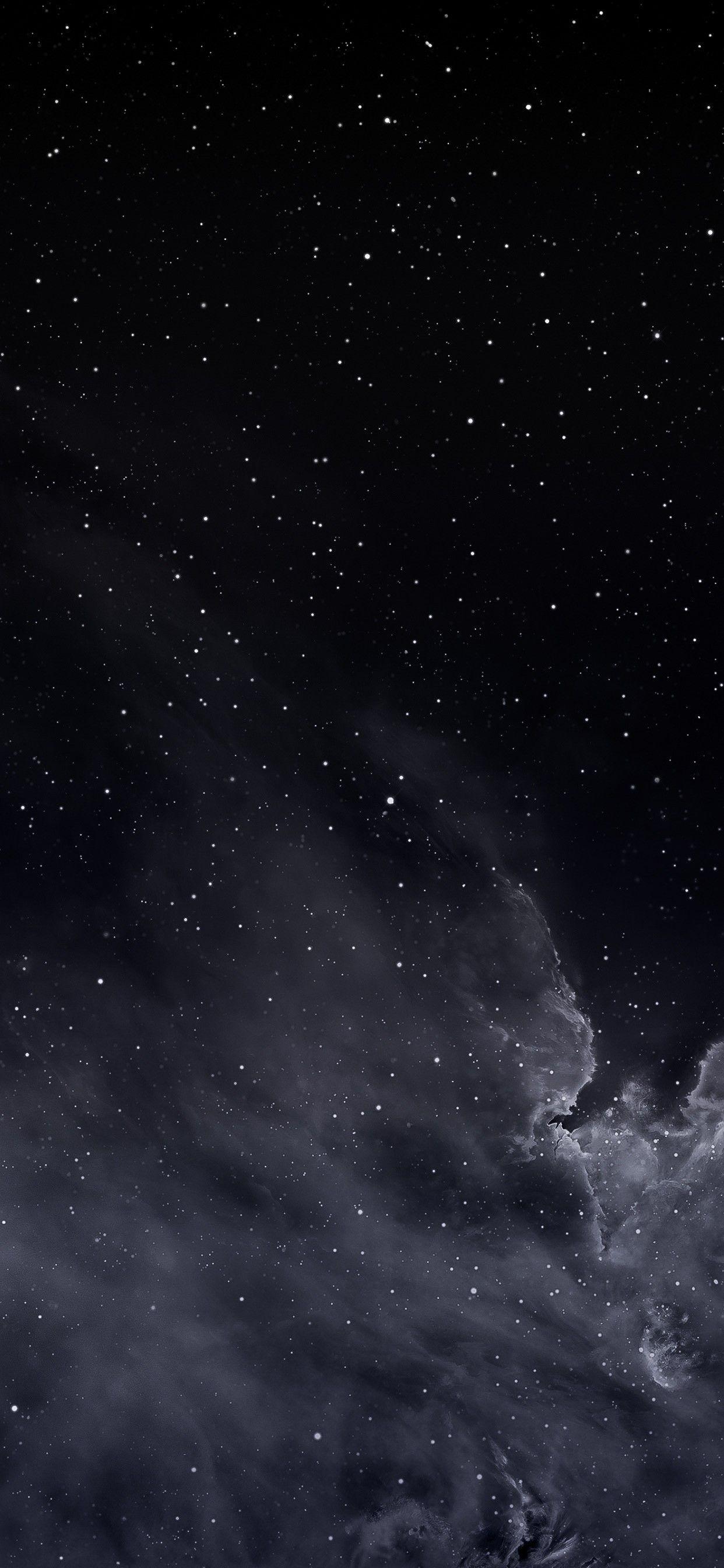 1242x2688 iPhone wallpaper .com
