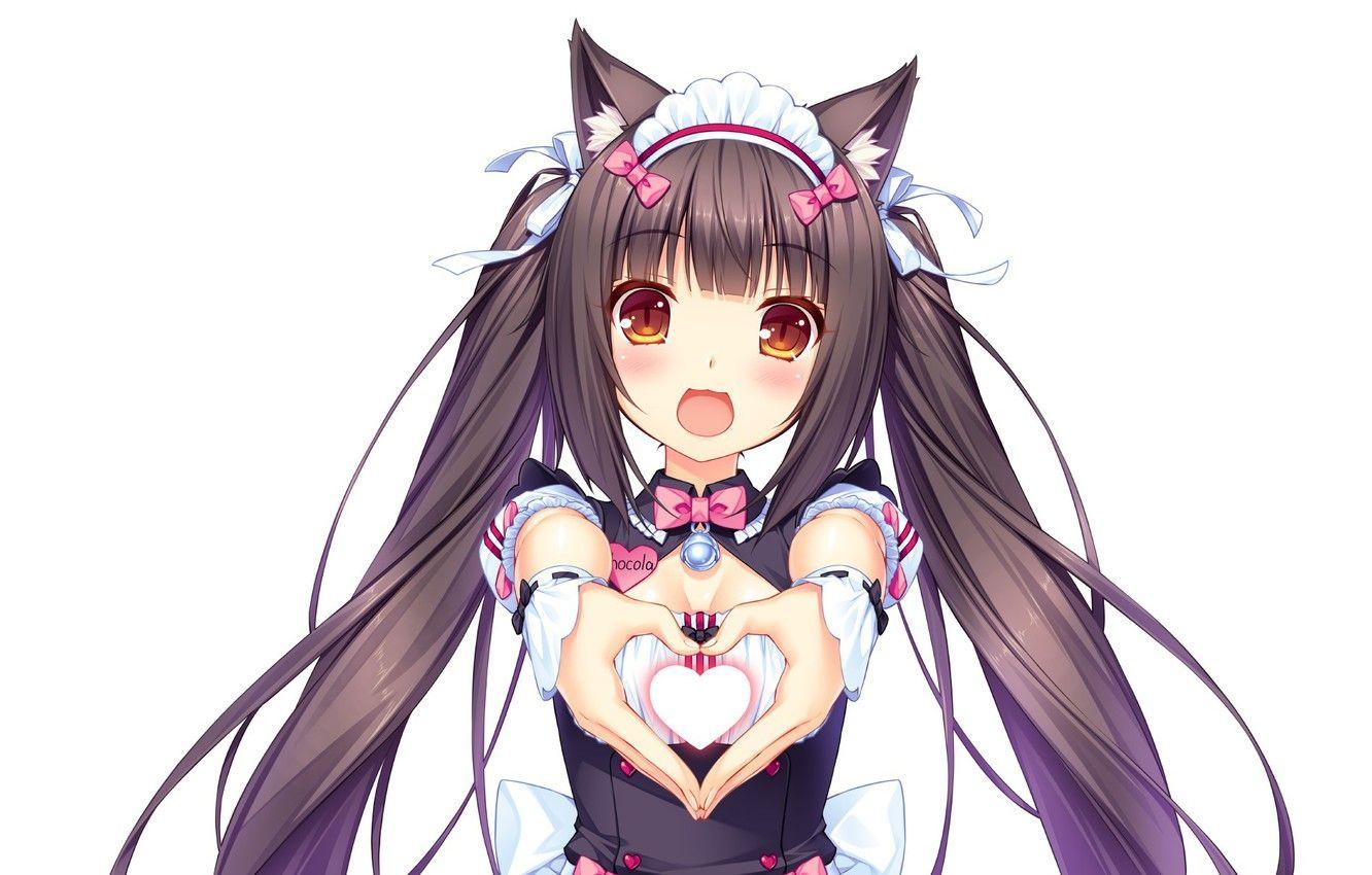 1332x850 28++ Neko Cute Anime Cat Girl Wallpaper99animewallpaper.