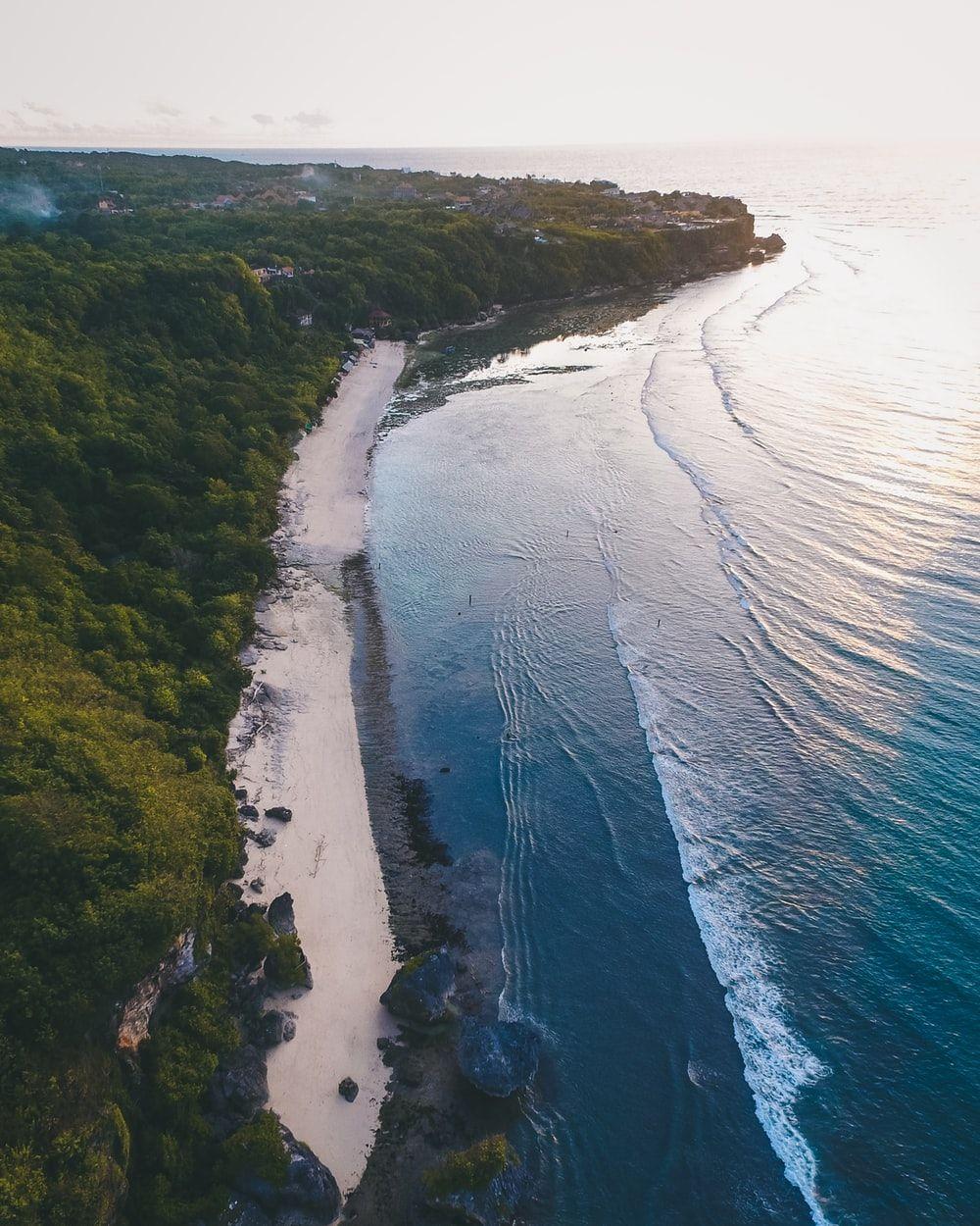 1000x1250 Jungle Beach Picture. Download Free .com