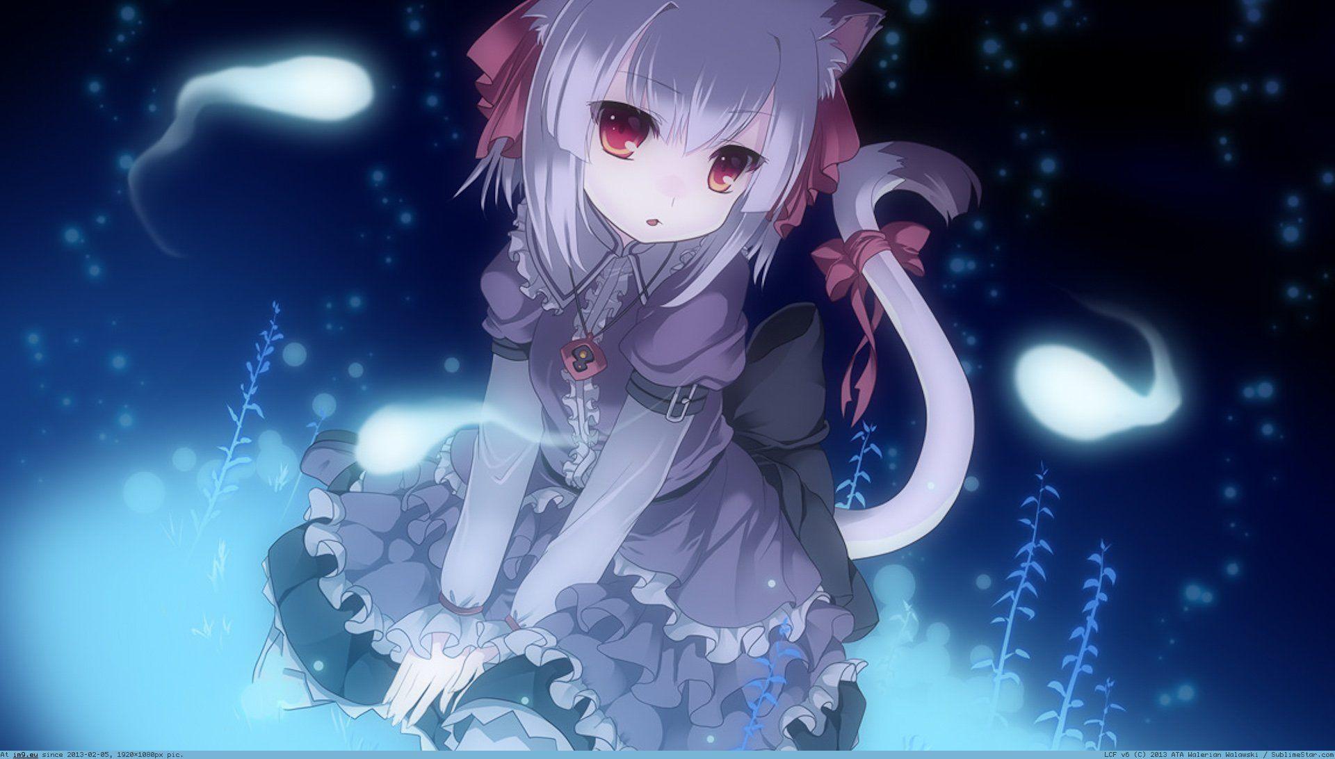 1920x1092 Kawaii Anime Cat Girl Wallpaperanimiesme.