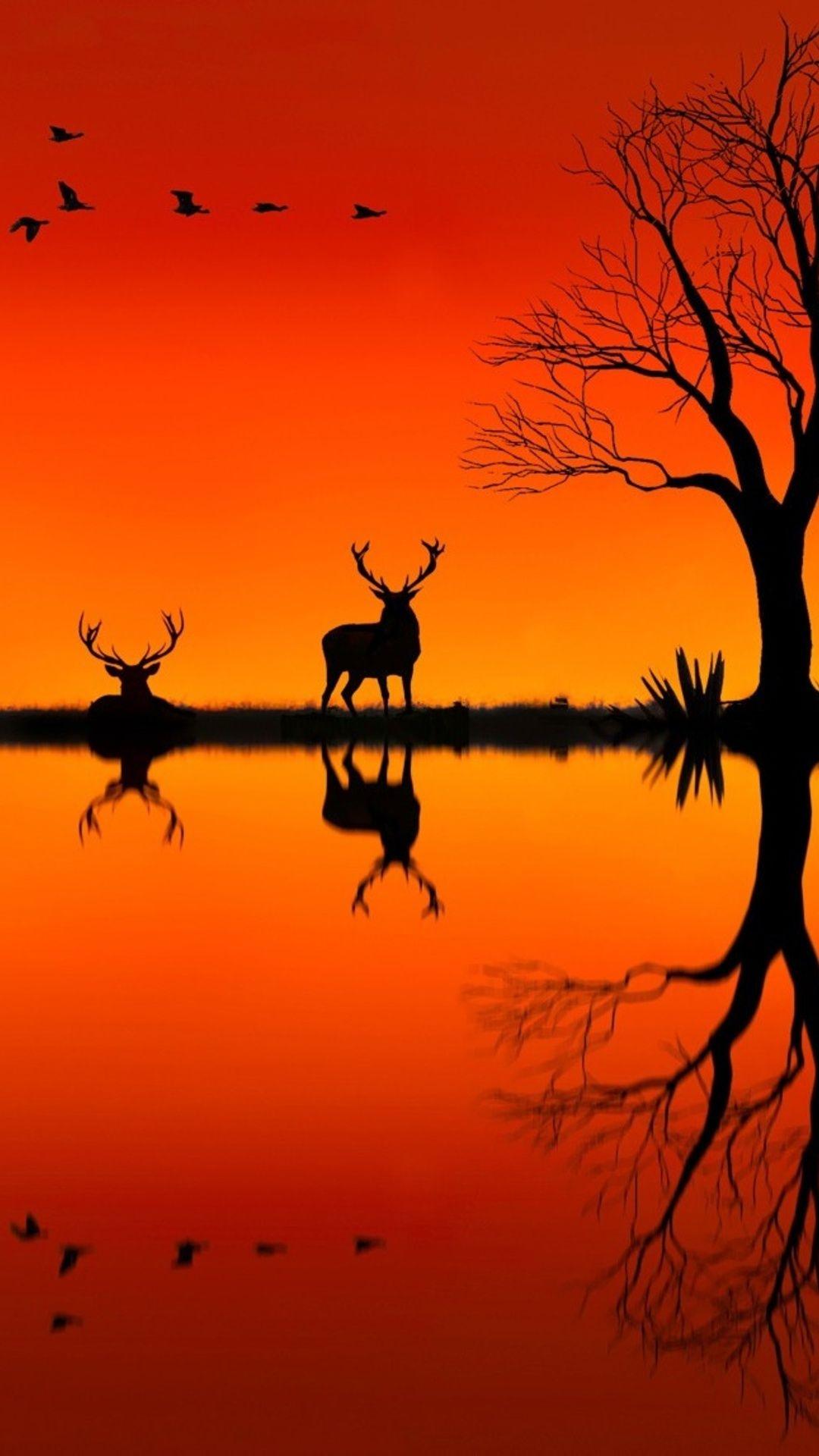 1080x1920 Elk On Horizon Sunset Evening .