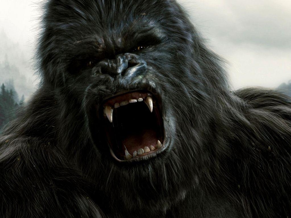 1024x768 Angry Wallpaper
