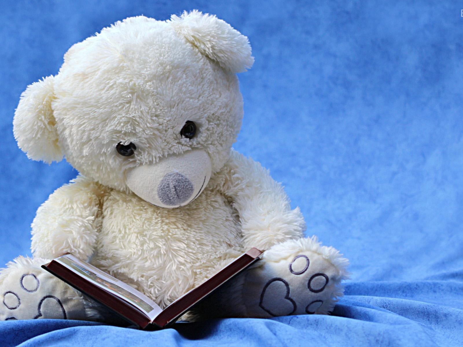 1600x1200 Cute Teddy Bears Wallpaper .