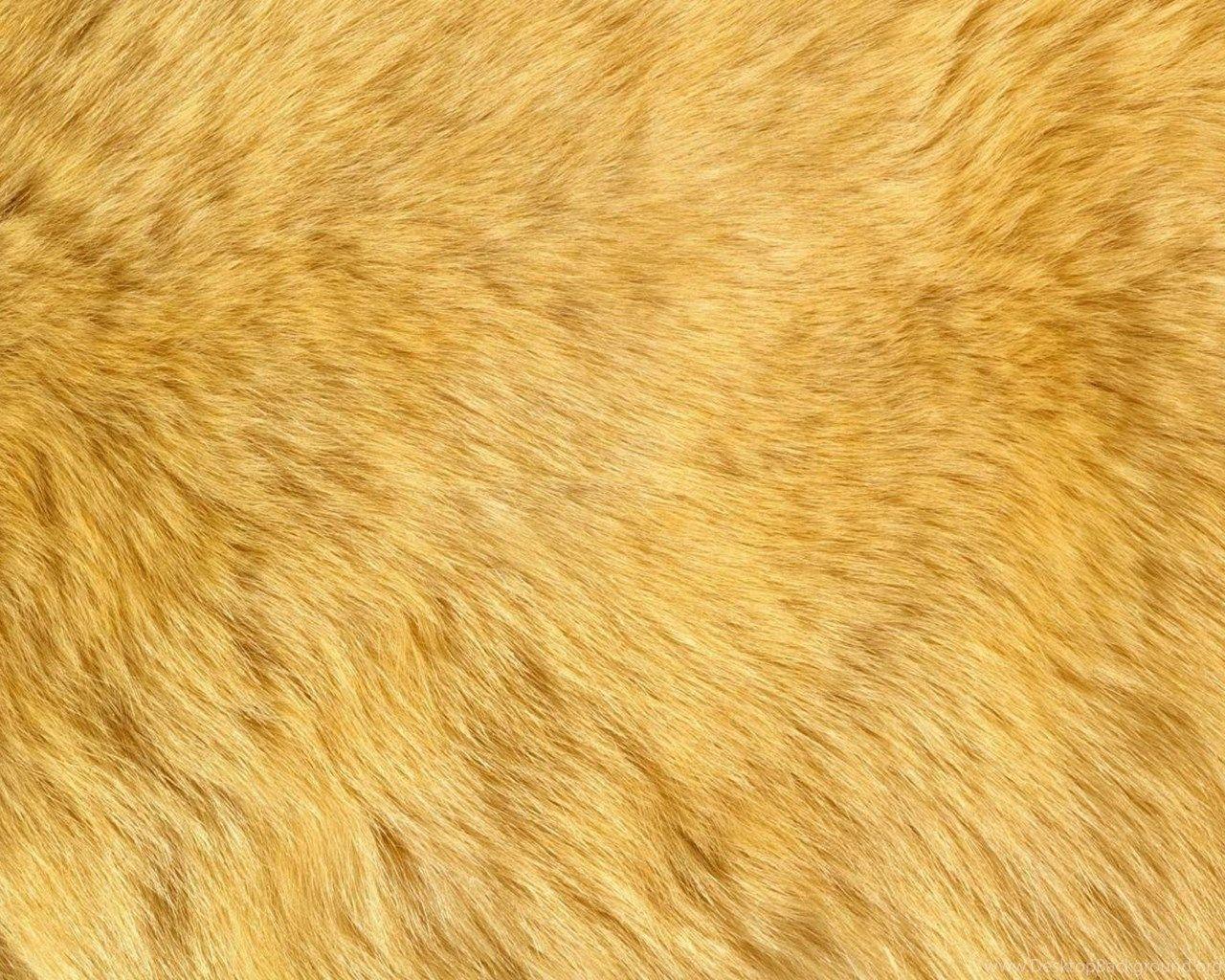 1280x1024 Download Wallpaper Natural Animal Fur .