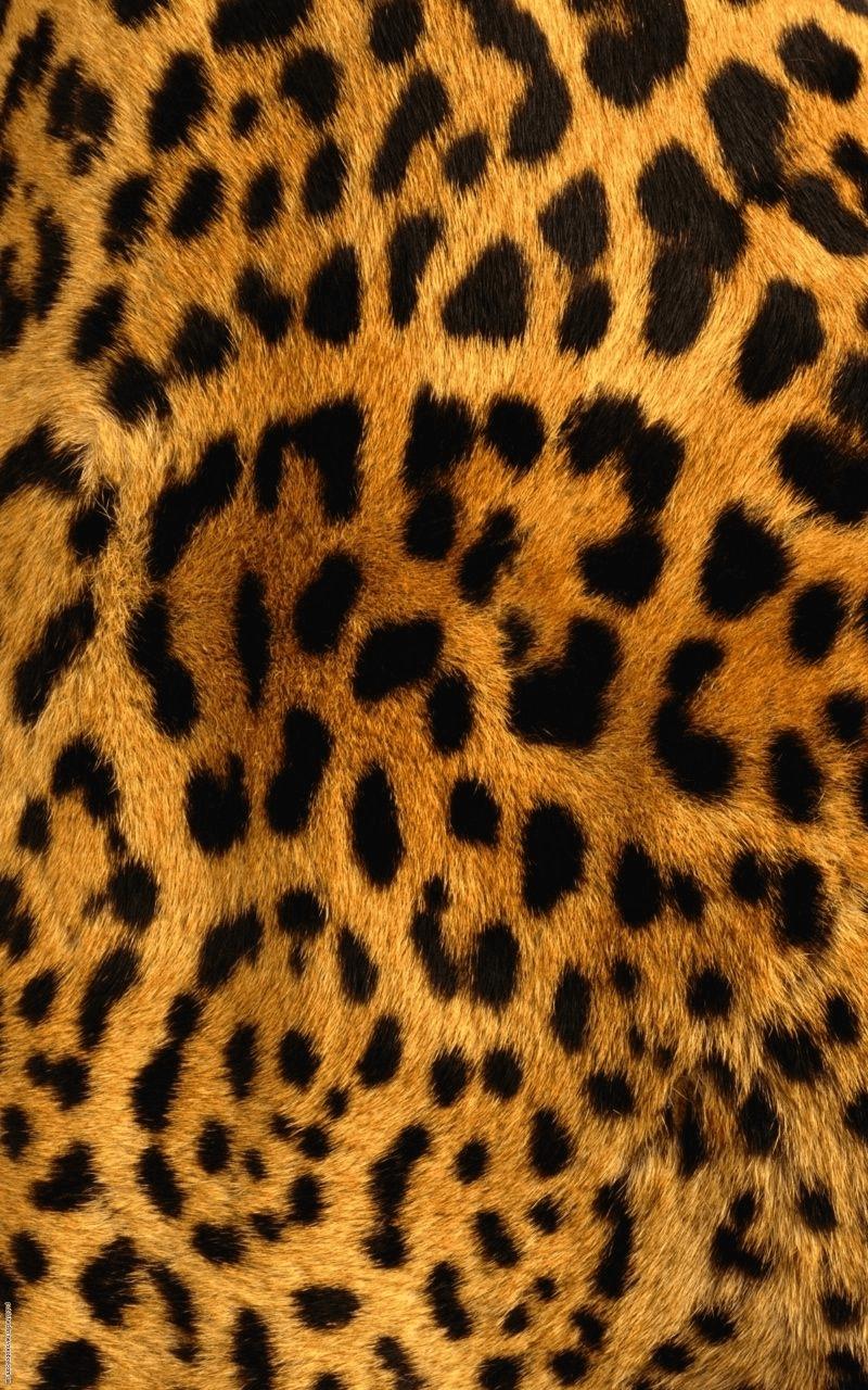 800x1280 Animal Print Live Wallpaper