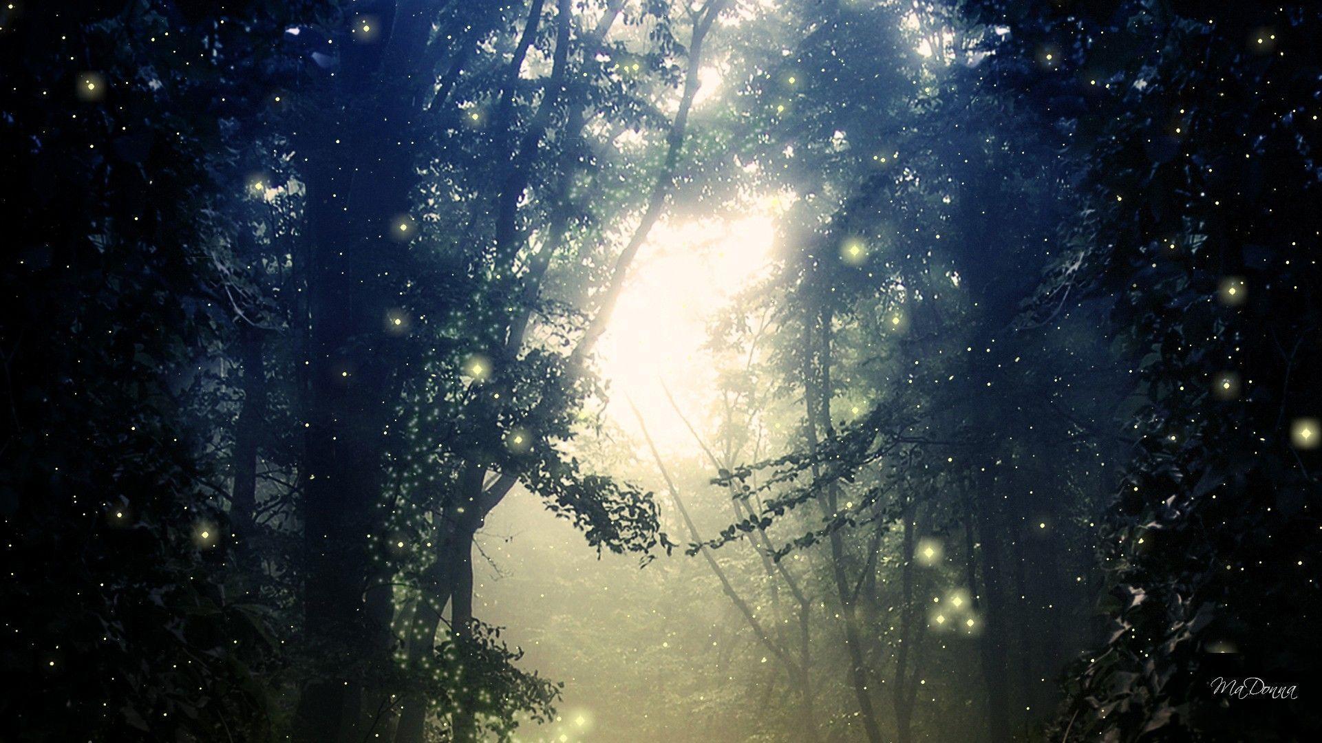 1921x1080 Fireflies