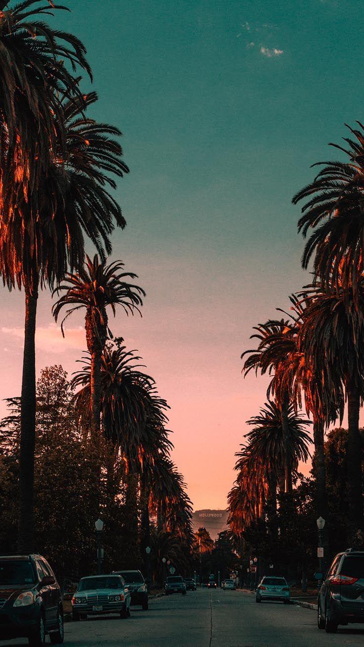 736x1308 California Los Angeles Retro Wallpaper .